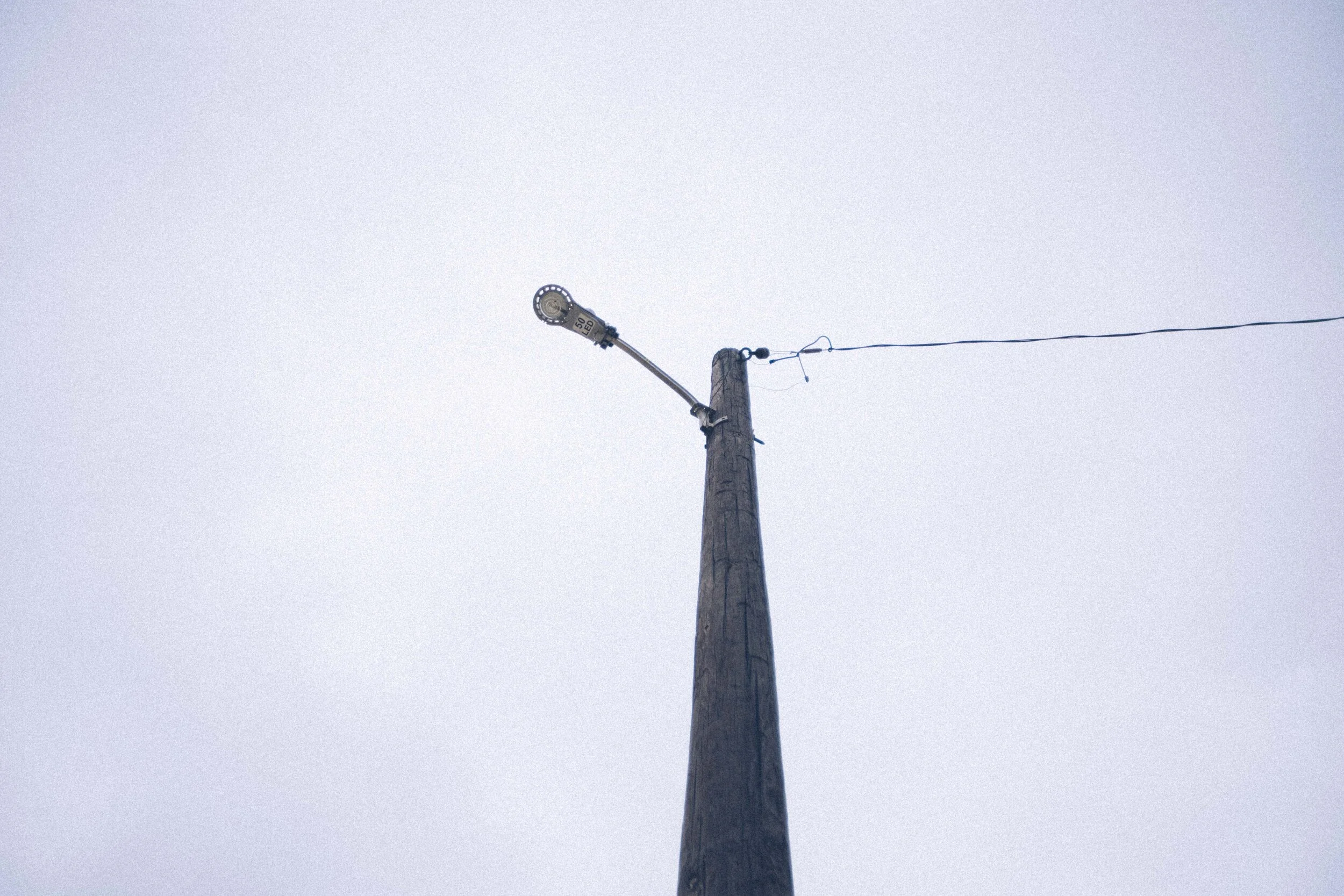 _MG_9494.jpg