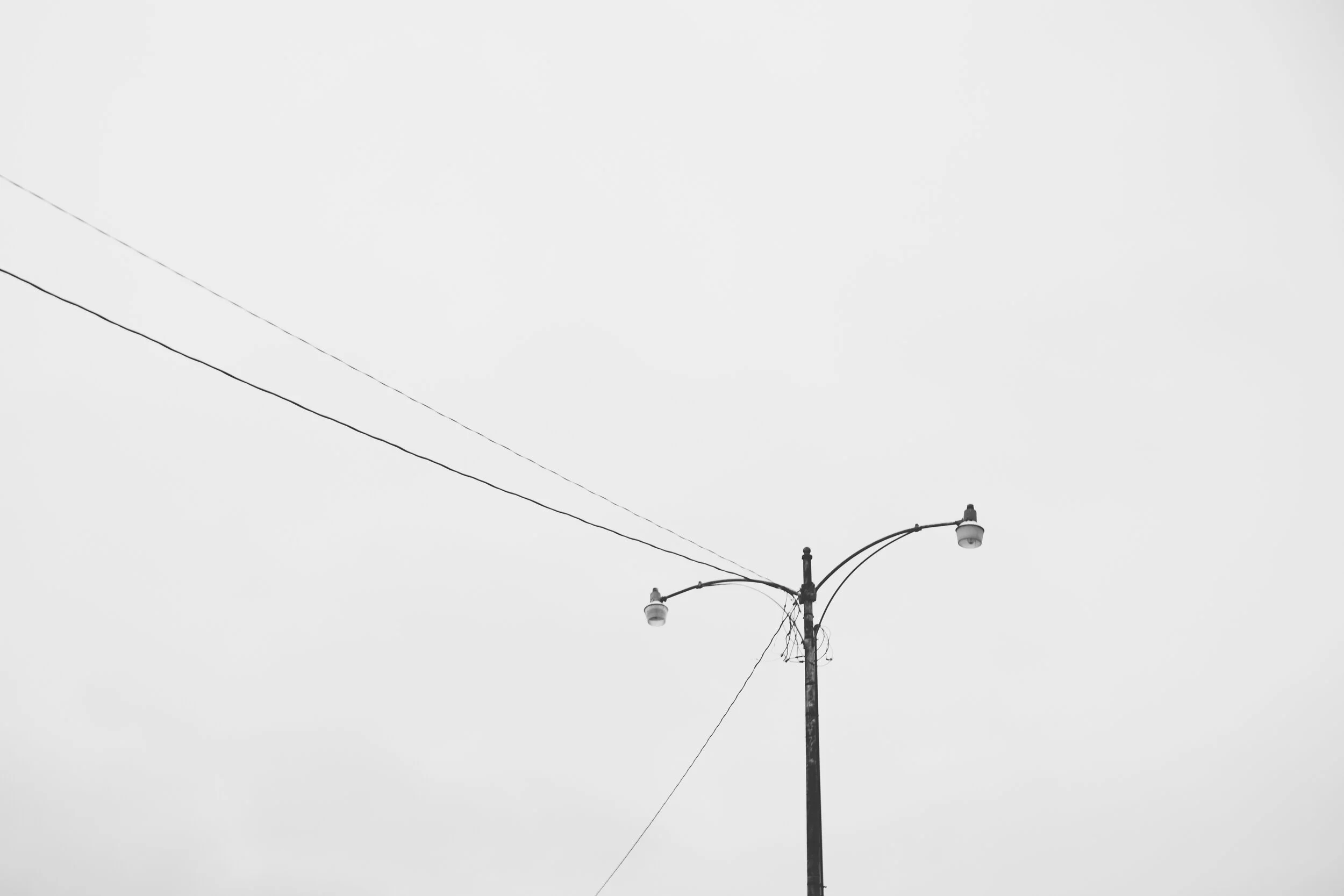 _MG_9530.jpg