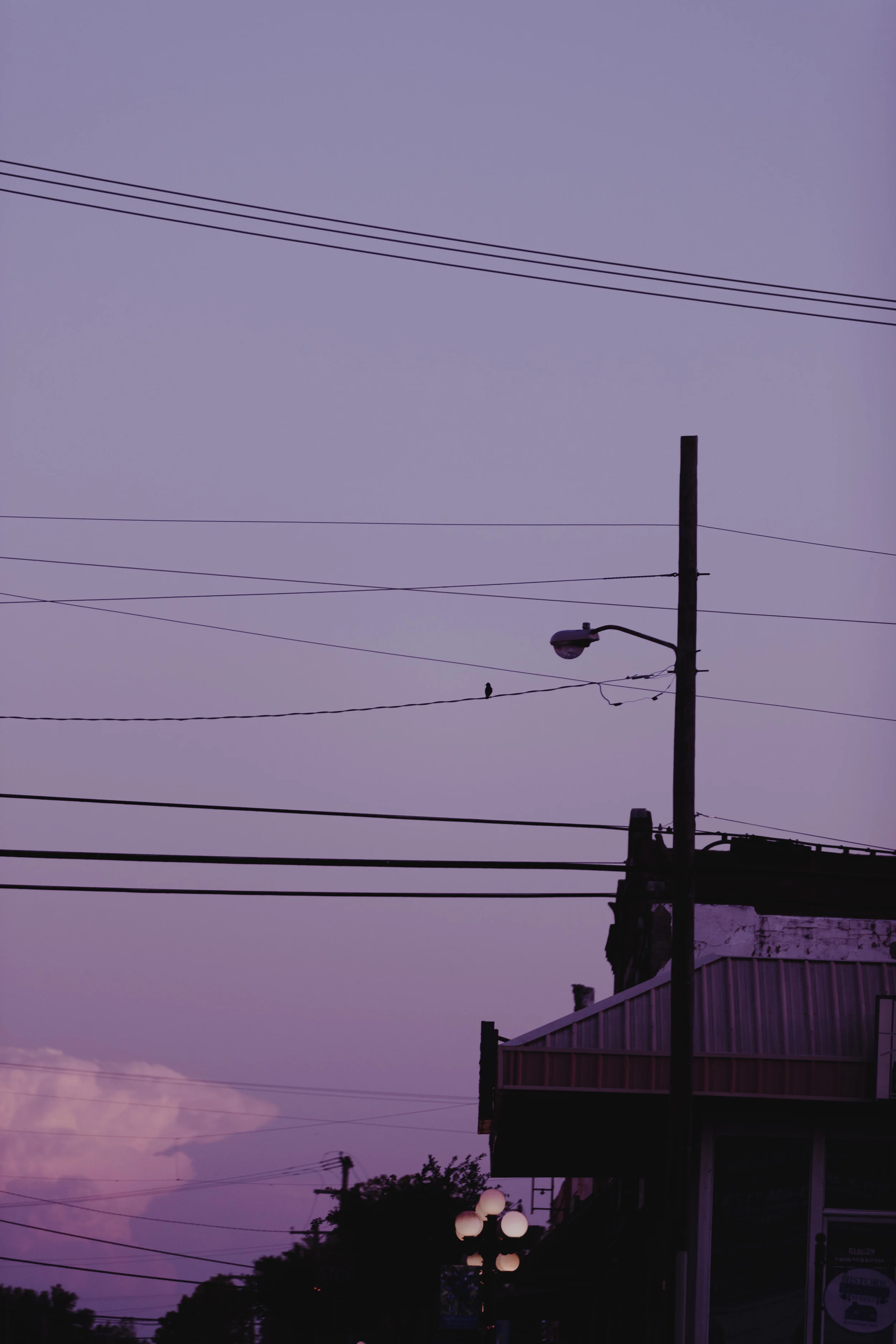 _MG_3624.jpg