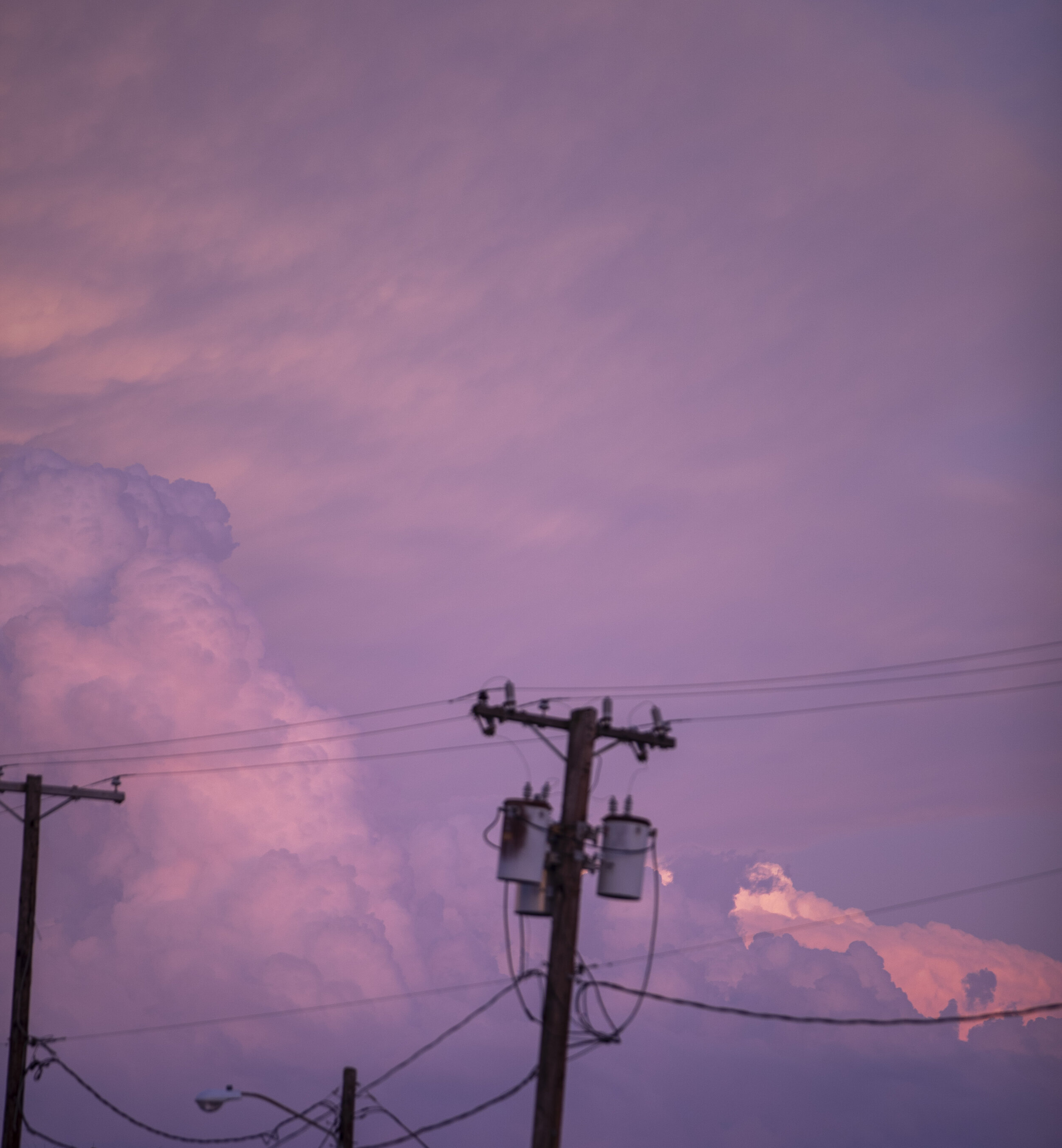 _MG_3628.jpg