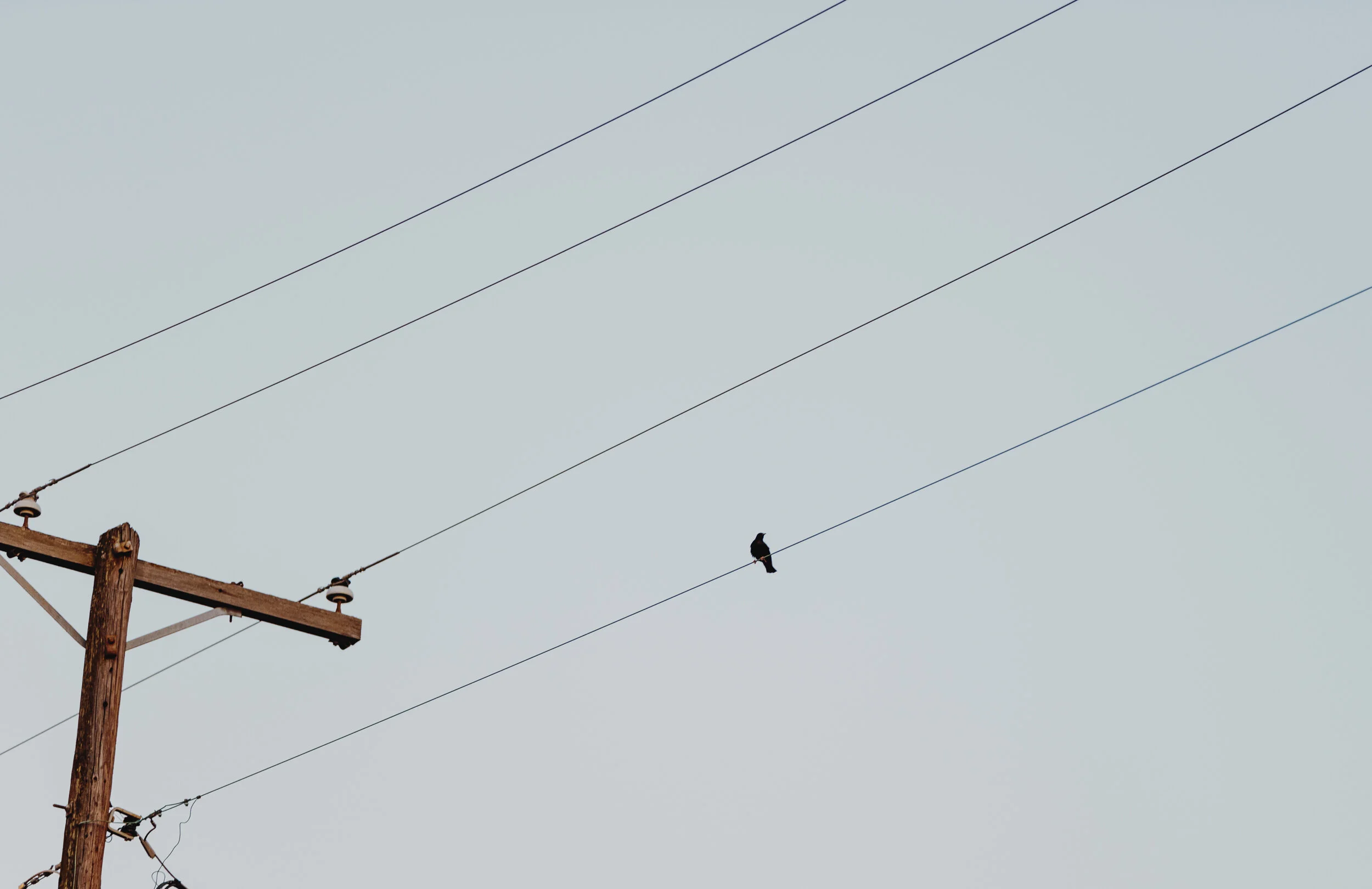 _MG_3632.jpg