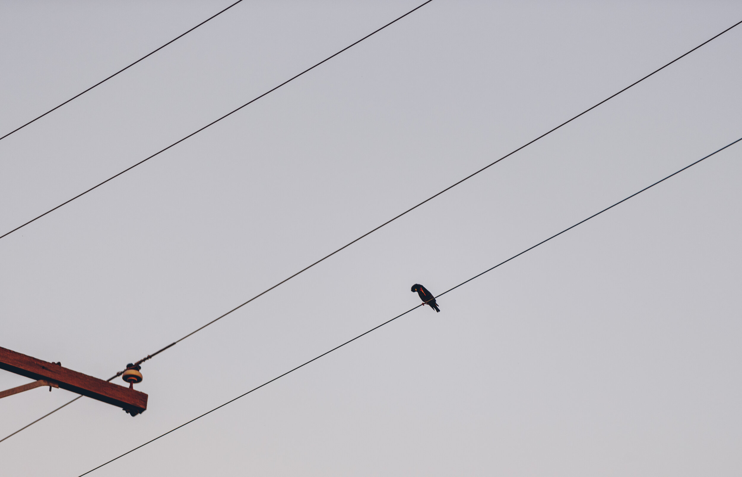 _MG_3640.jpg