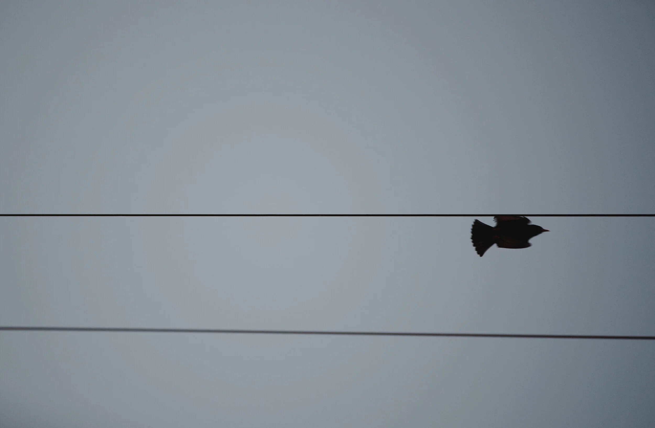_MG_3647.jpg