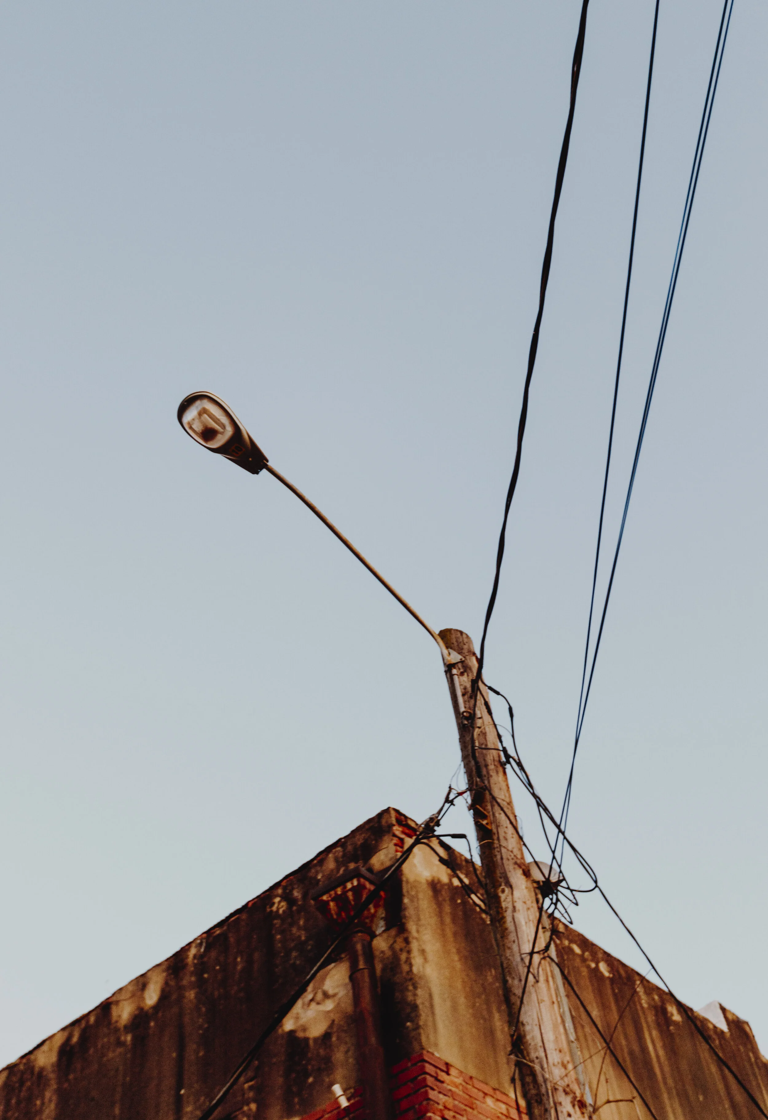 _MG_3654.jpg