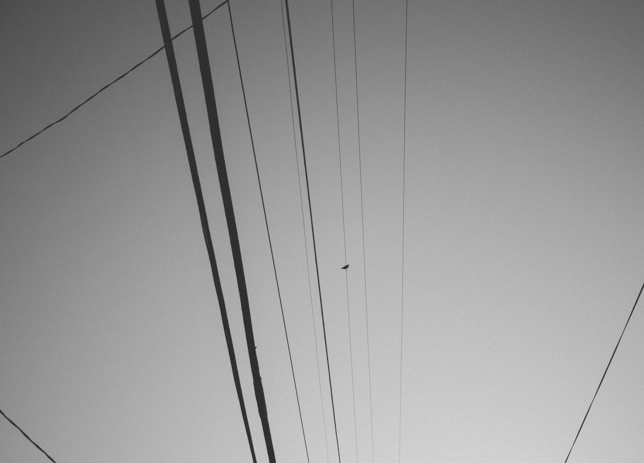 _MG_3717.jpg