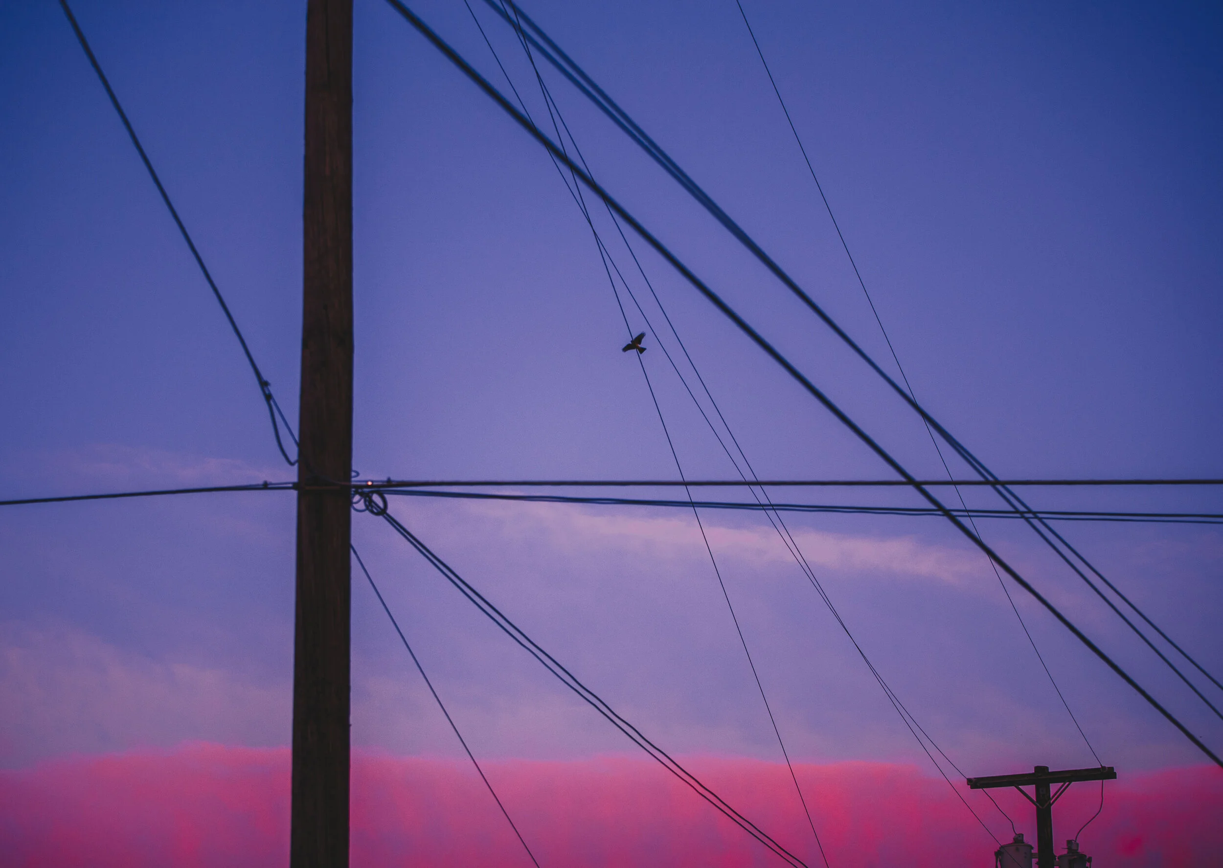 _MG_3771.jpg