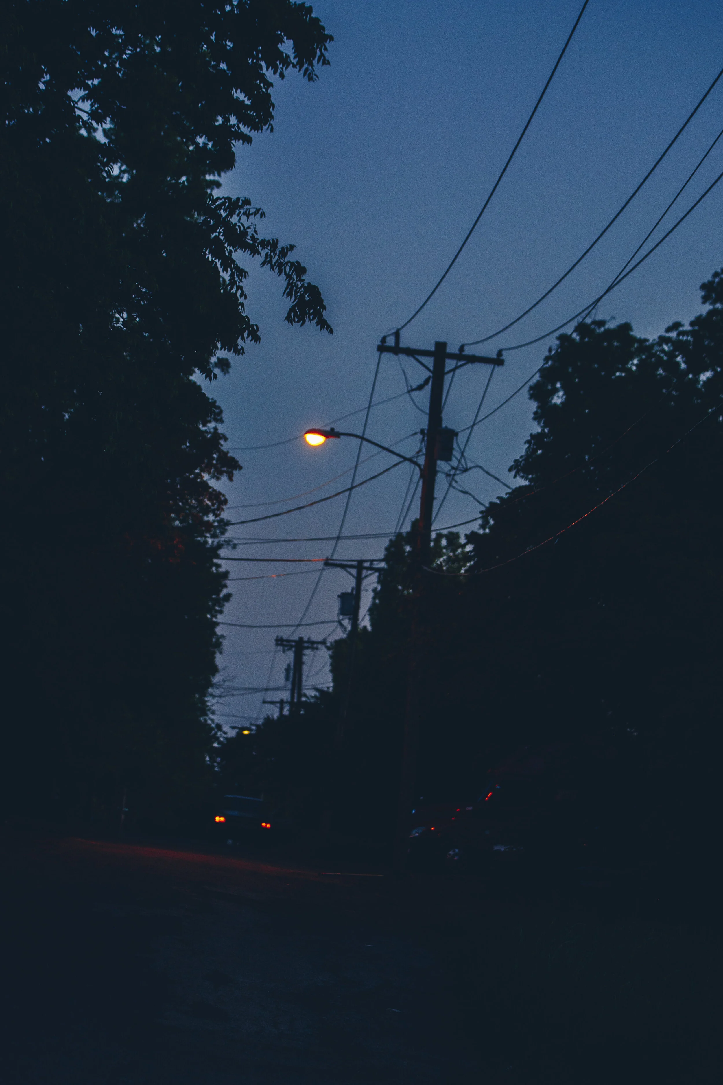 _MG_3779.jpg