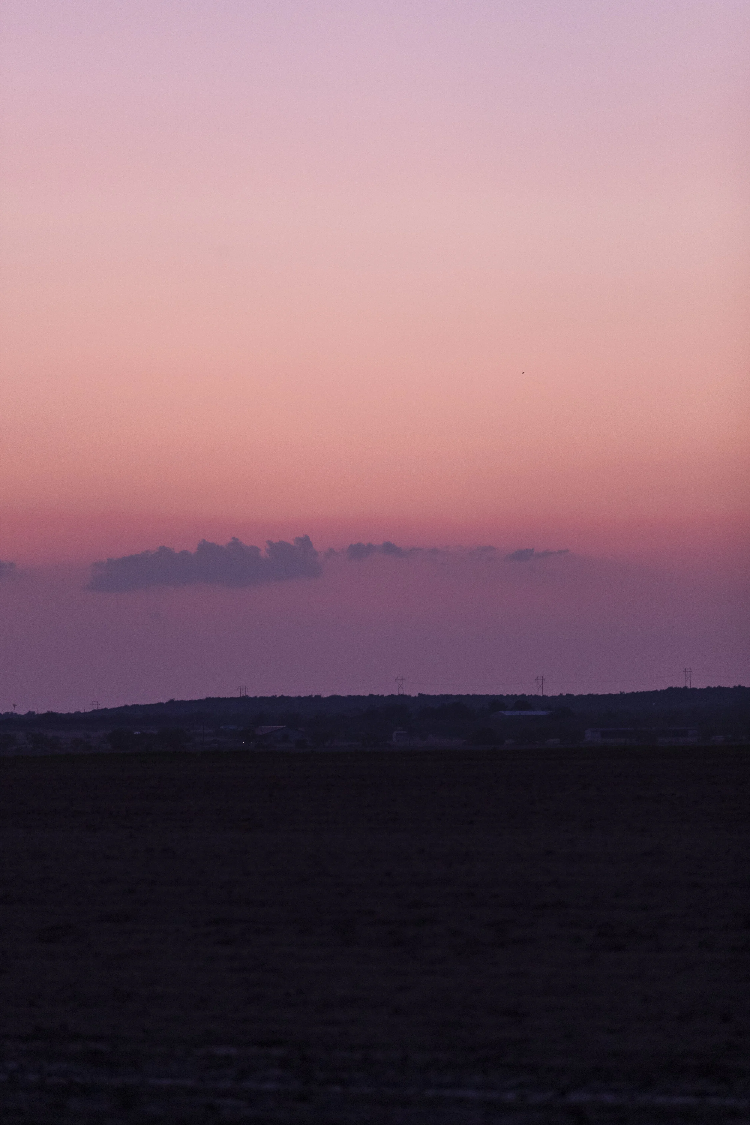 _MG_8750.jpg