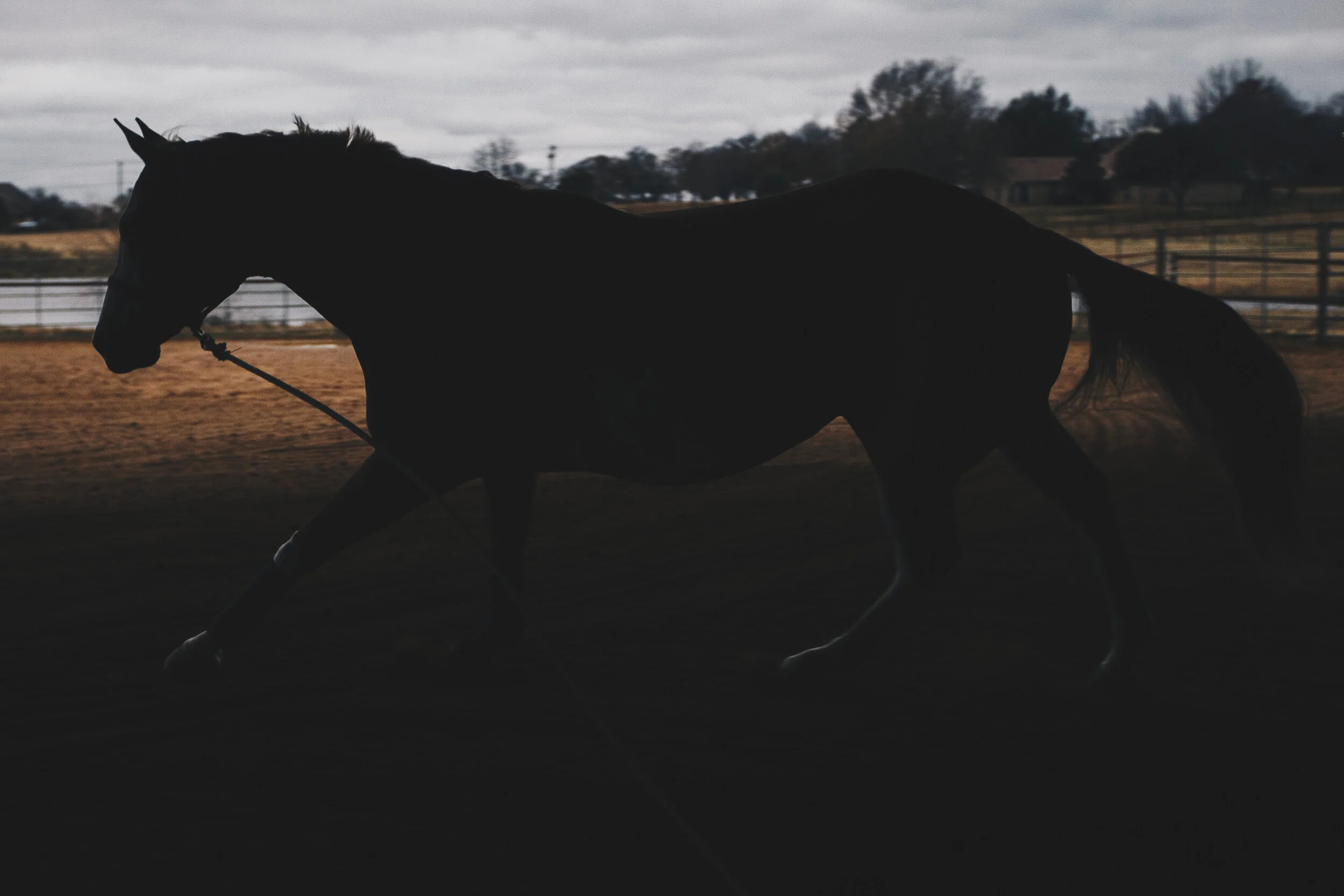 _MG_0226.jpg