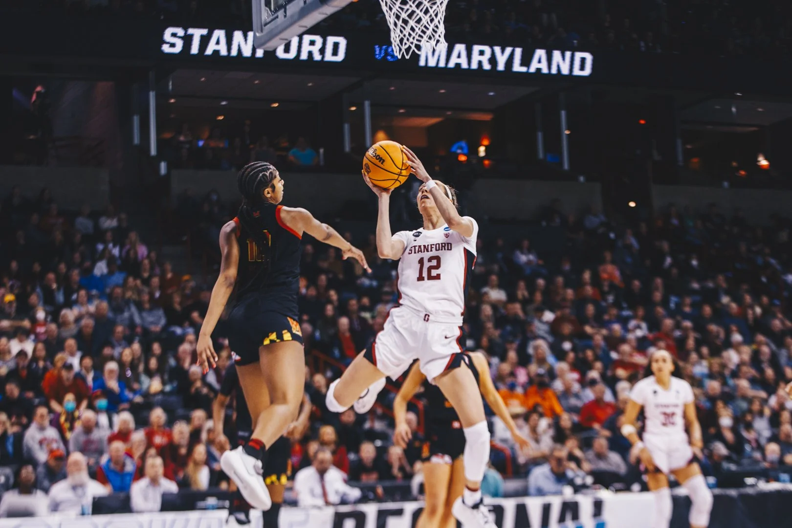 03252022_Stanford_Vs_Maryland119150.JPG