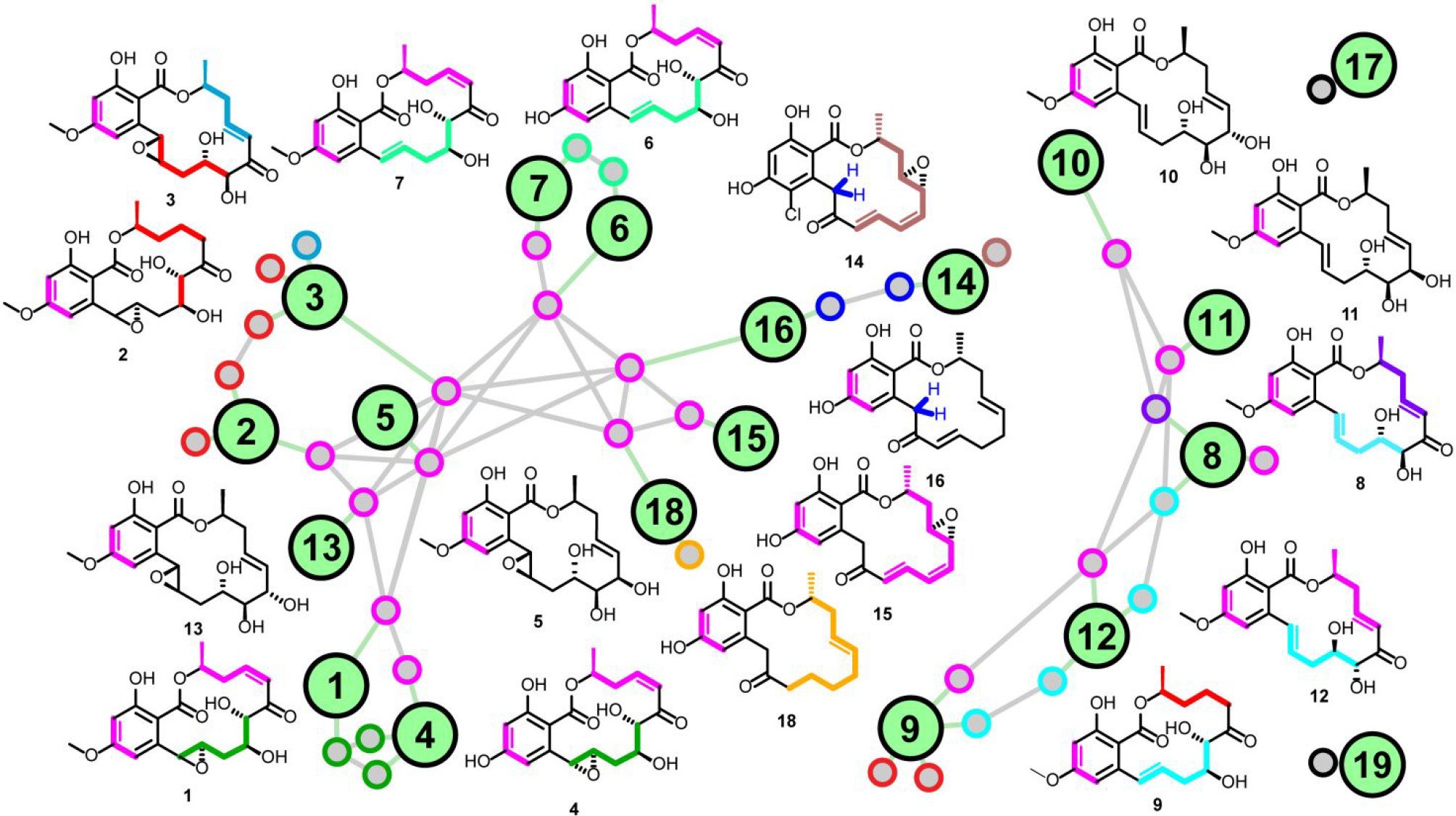 Using MADByTE for Dereplication of Fungal Metabolites