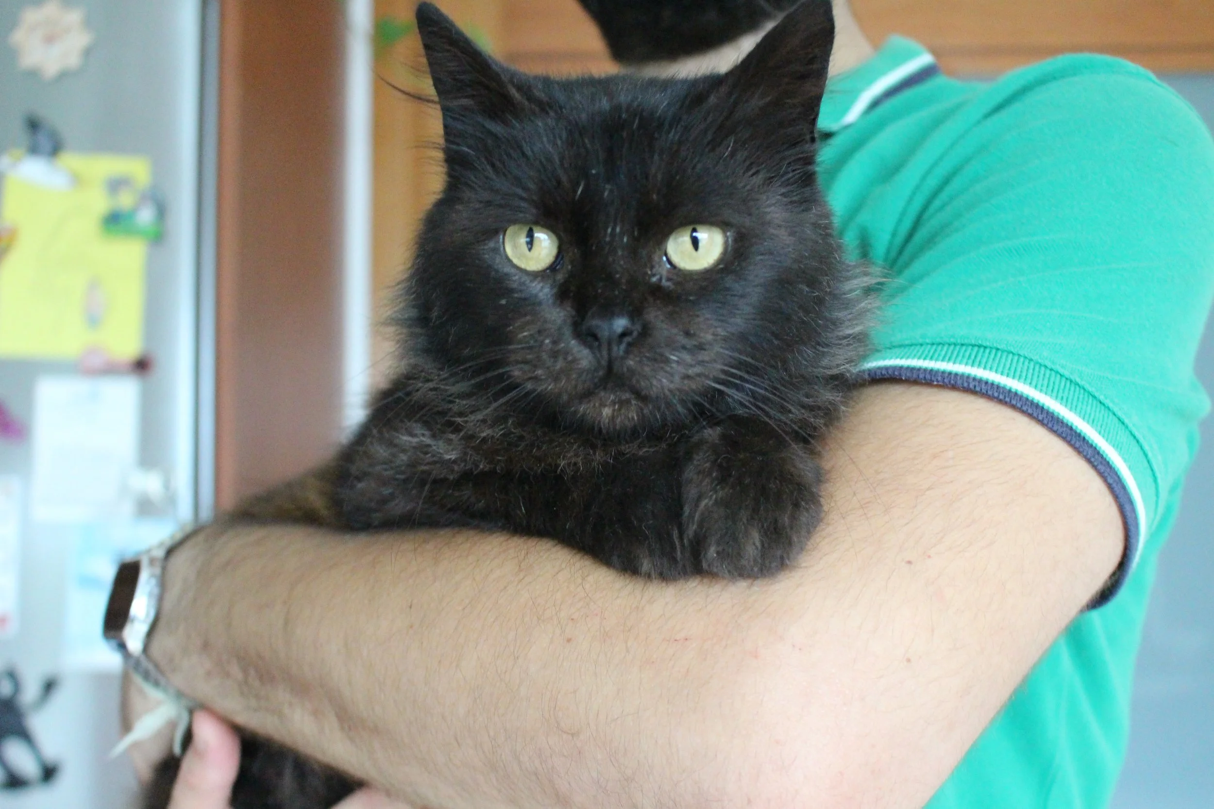 Luna 2.JPG
