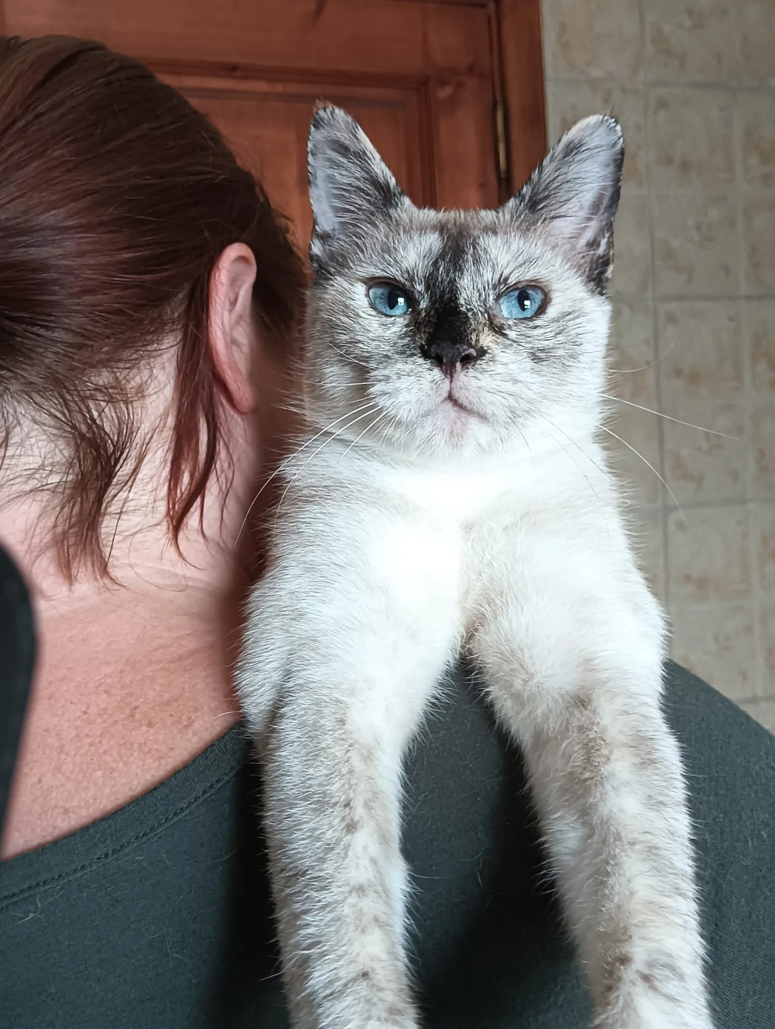 Lina (adopted)