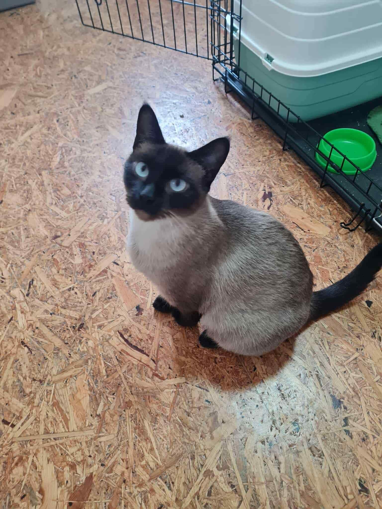 874e1fd9-359d-463d-be7a-07eda397008d (1).jpeg