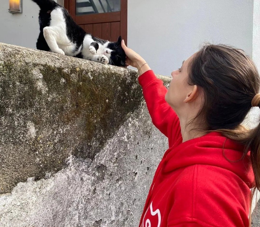 Madeira TNR campaign