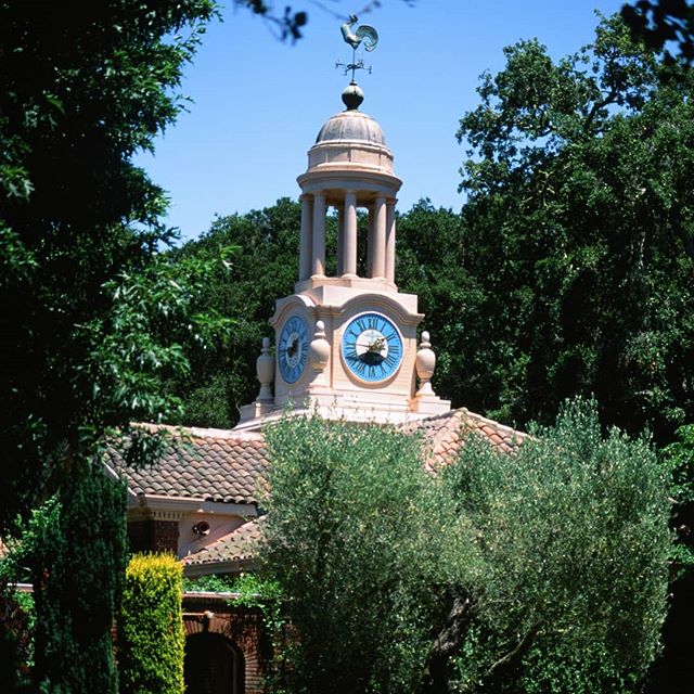 Filoli is a beautiful #formalgarden and restored historic house right on the edge of #siliconvalley California is a pretty new place, so we don't have that many #historichomes which makes @_filoli all the more special. @fujifilm_global #Velvia50 in m