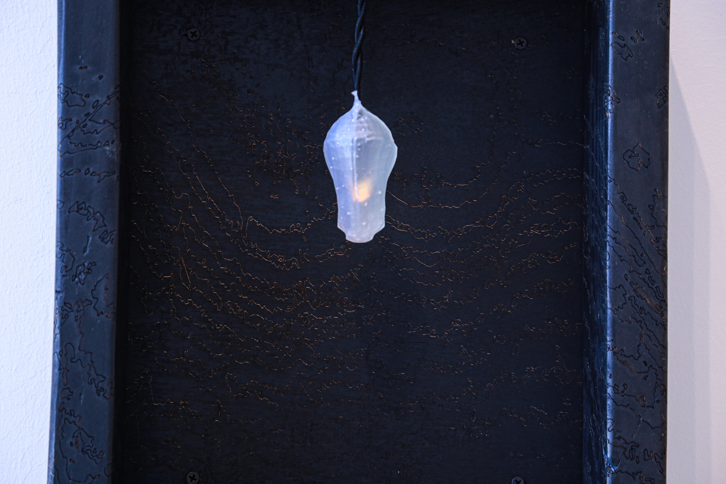 mothbox-11.jpg