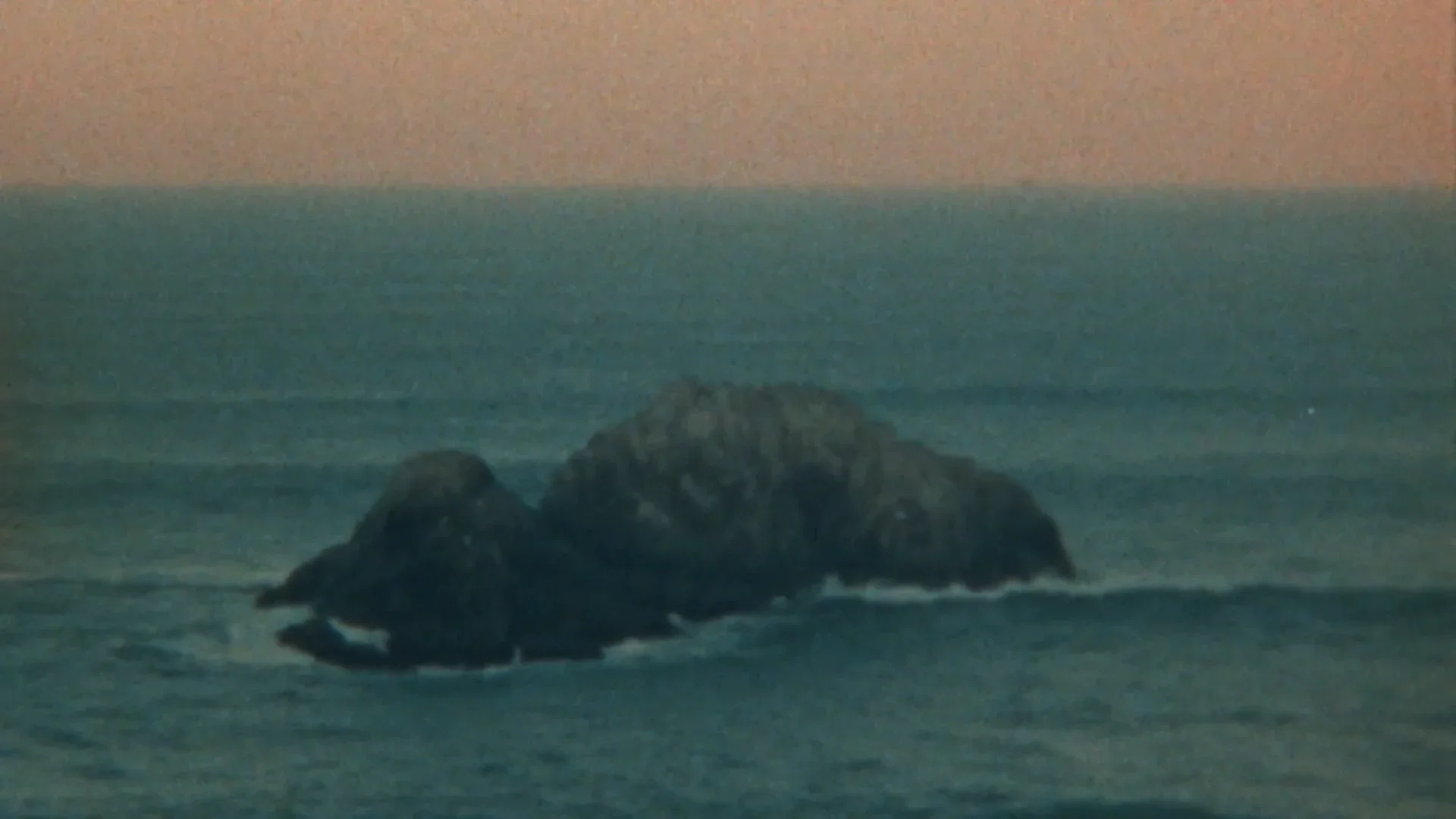 On Earth // Dir. Noa Ryan