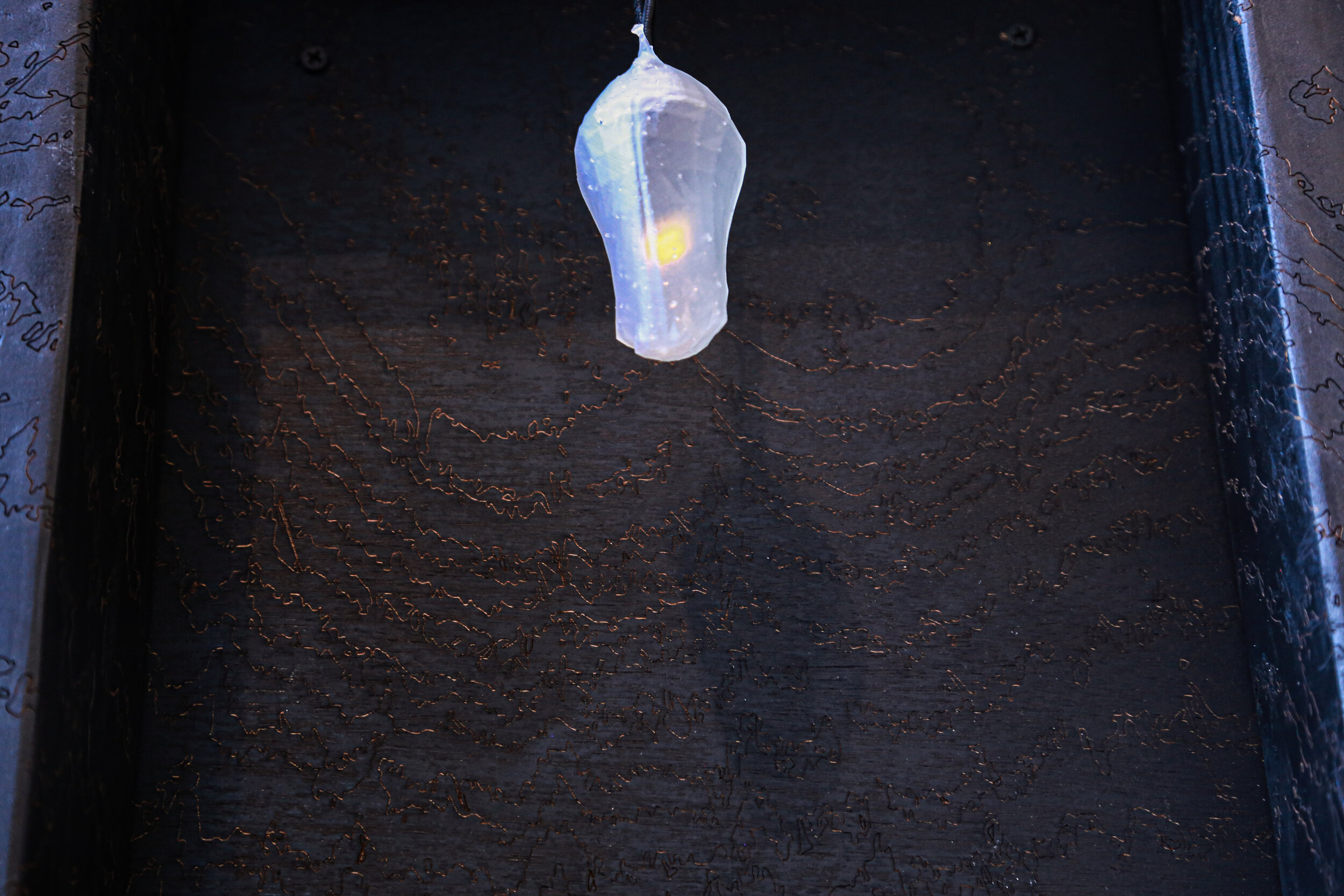 mothbox-03.jpg