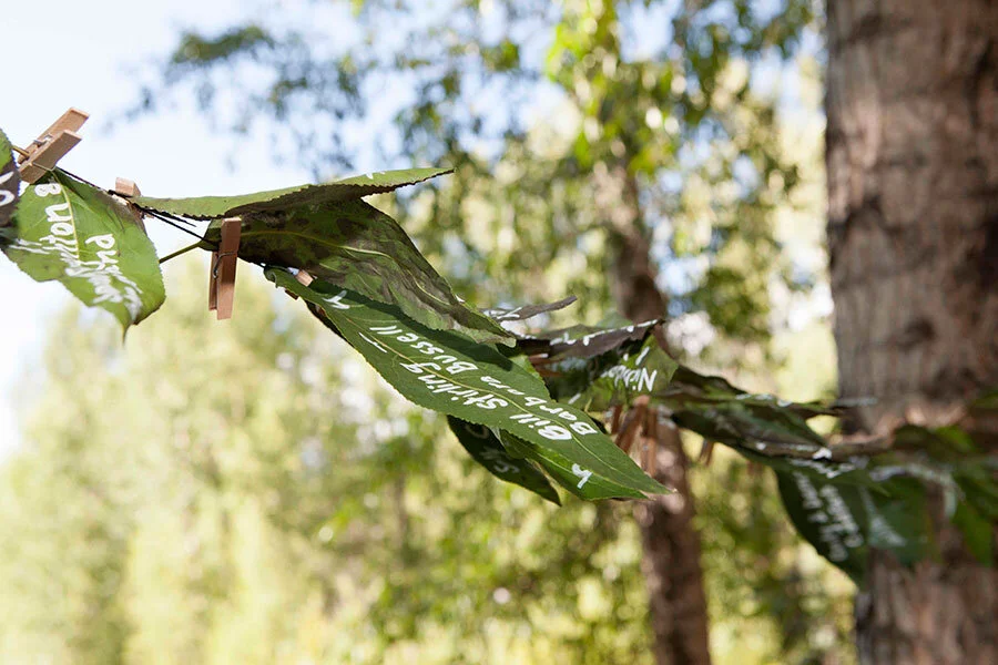Leaves.jpg
