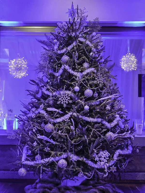 colorado-social-event-planner-3.jpg