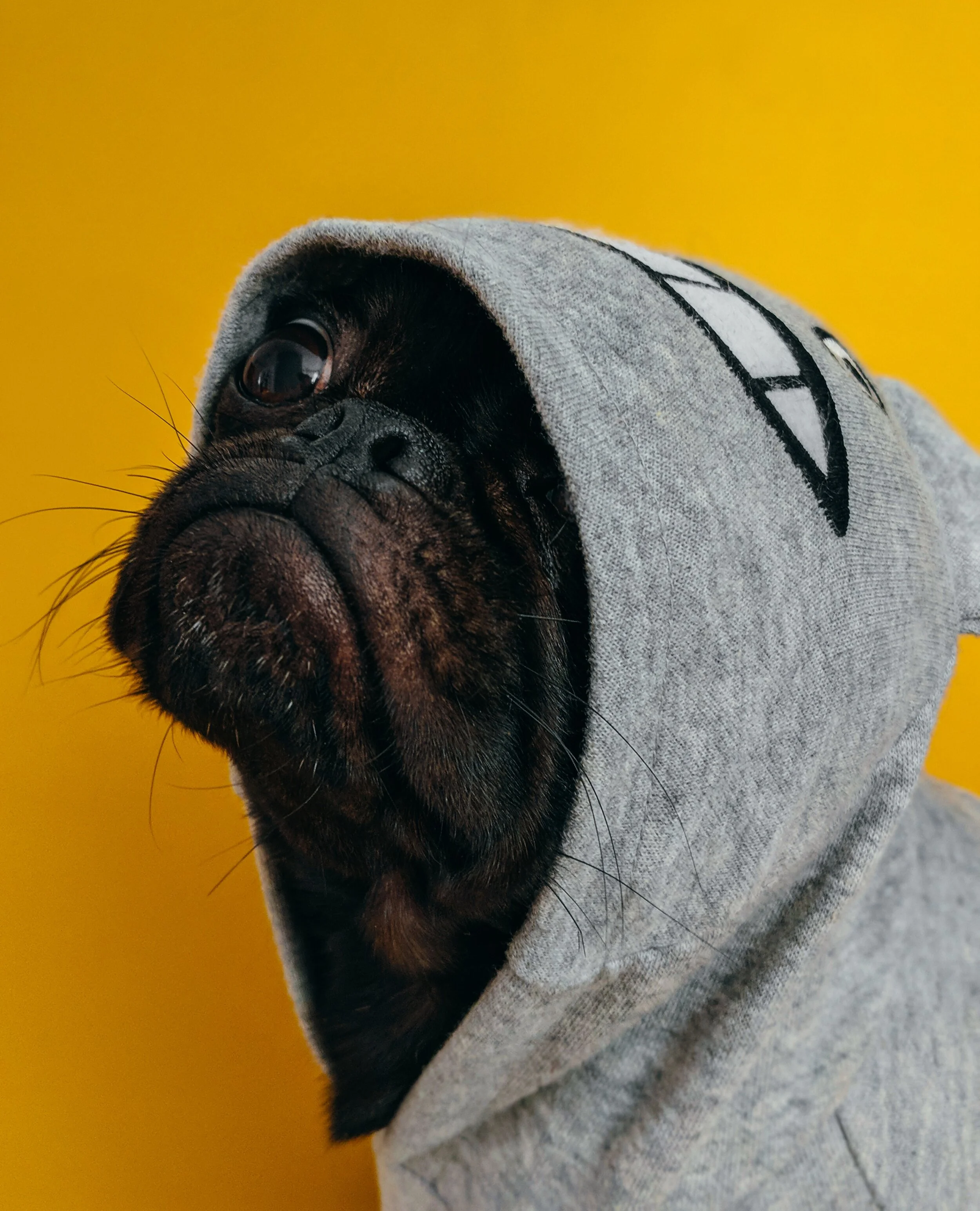 charles-deluvio-bYXP-ITv4_s-unsplash.jpg