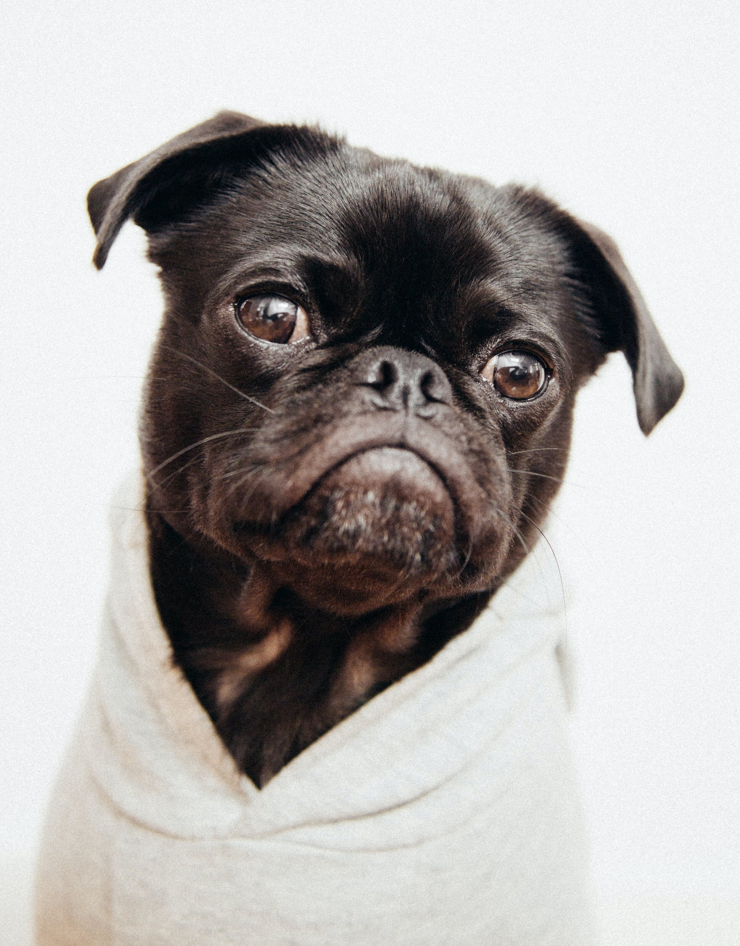 charles-deluvio-xbVTW7sykVw-unsplash.jpg