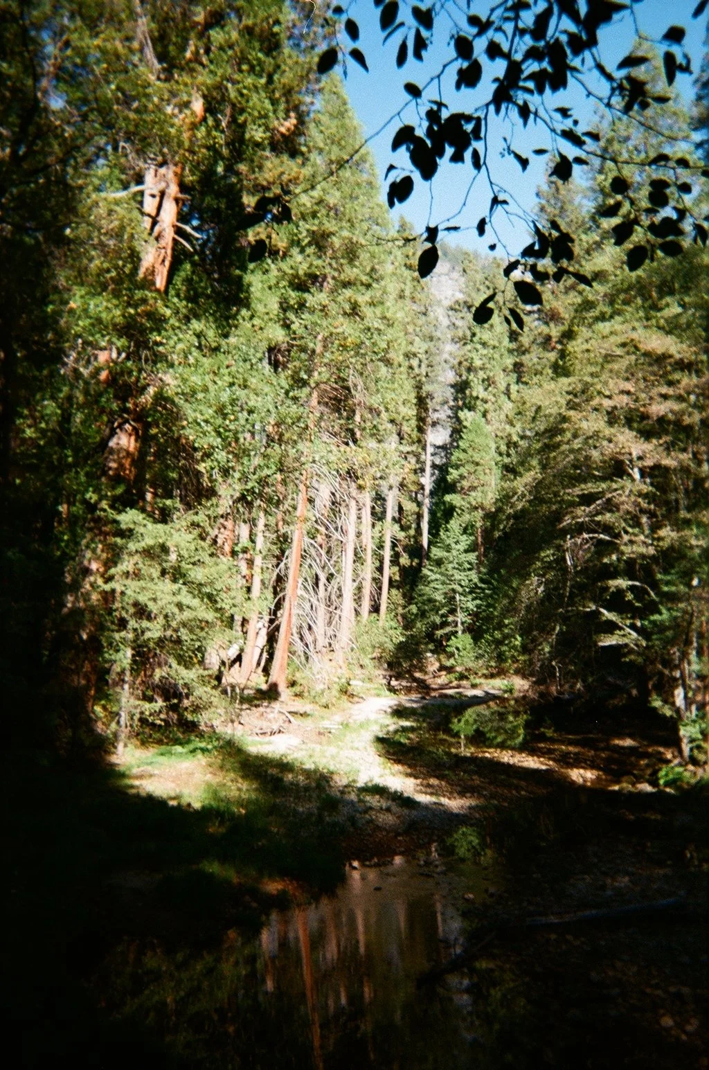 000156010017.jpg
