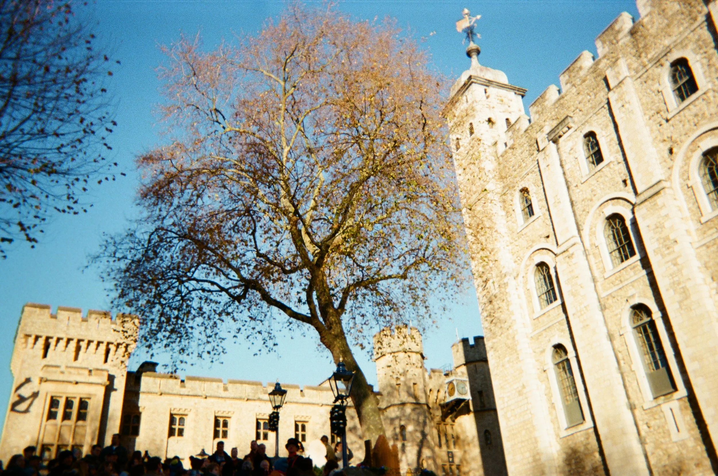 000195360017.jpg