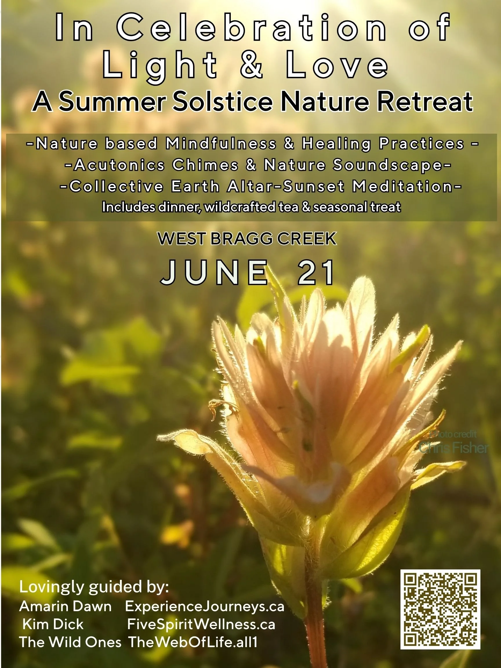 A Summer Solstice Nature Retreat  - In Light & Love