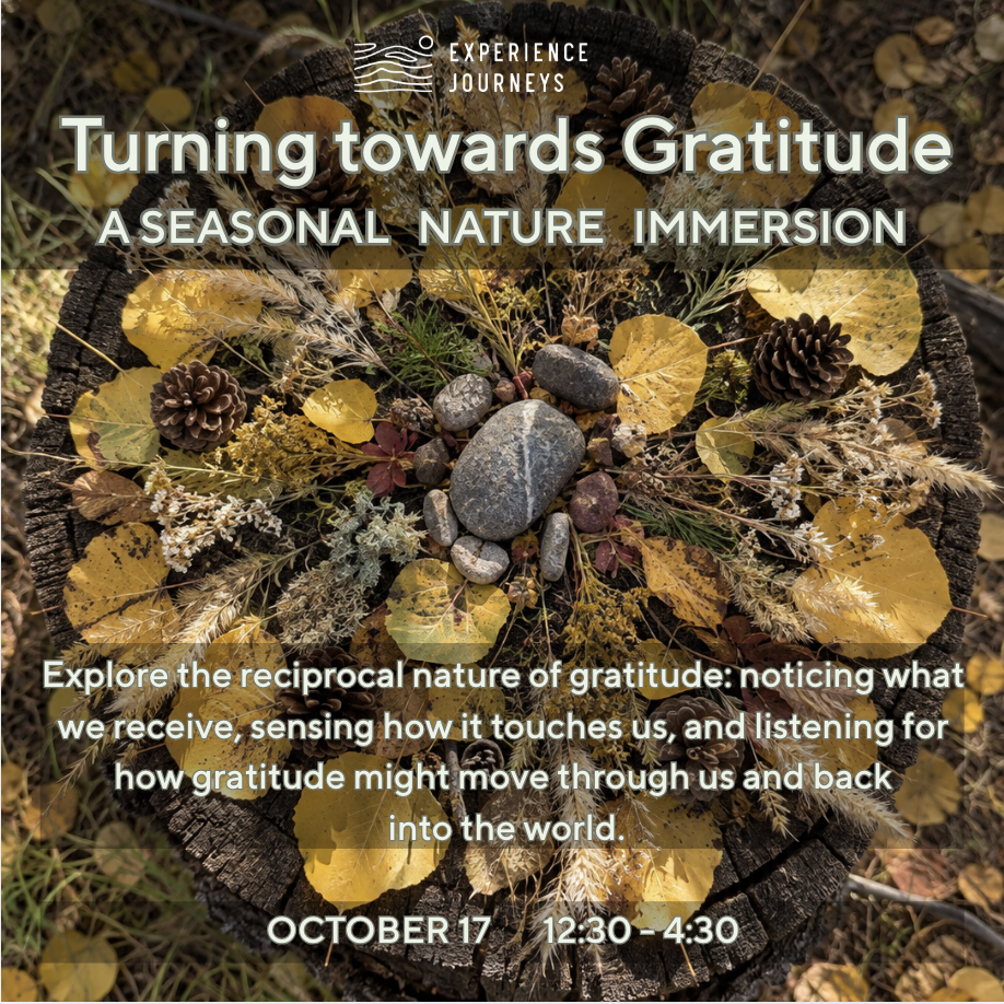 Immersion – Turning Toward Gratitude