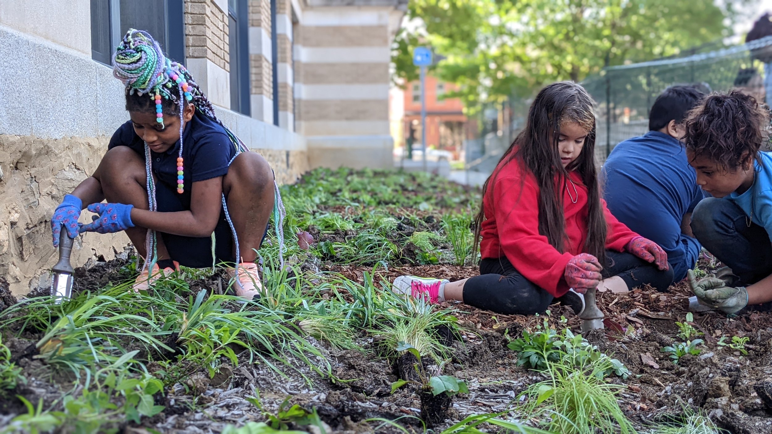Schoolyard Habitat Scholars Planting a Native Habitat