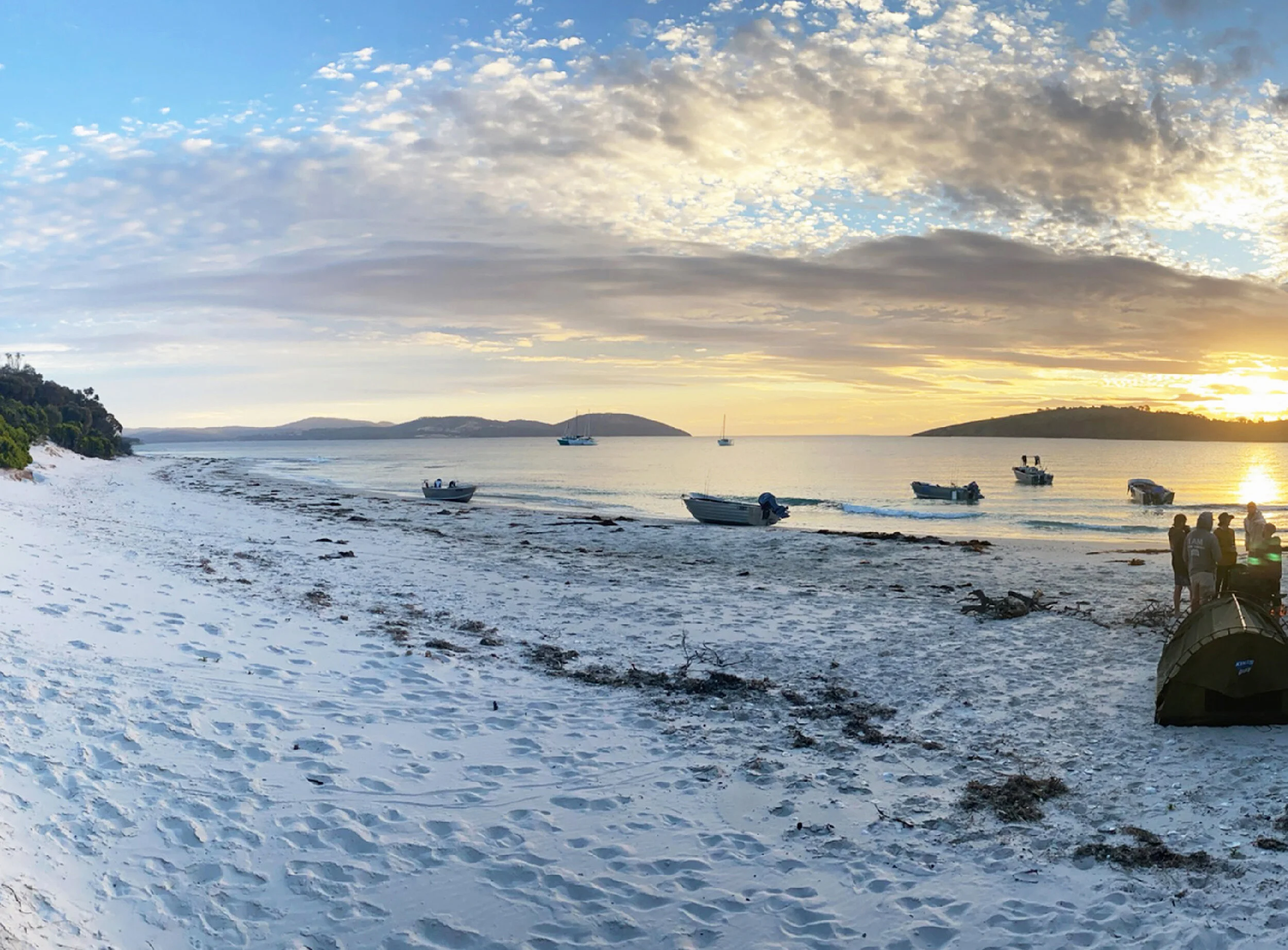 Journal #002 - Tasmanian Sojourn