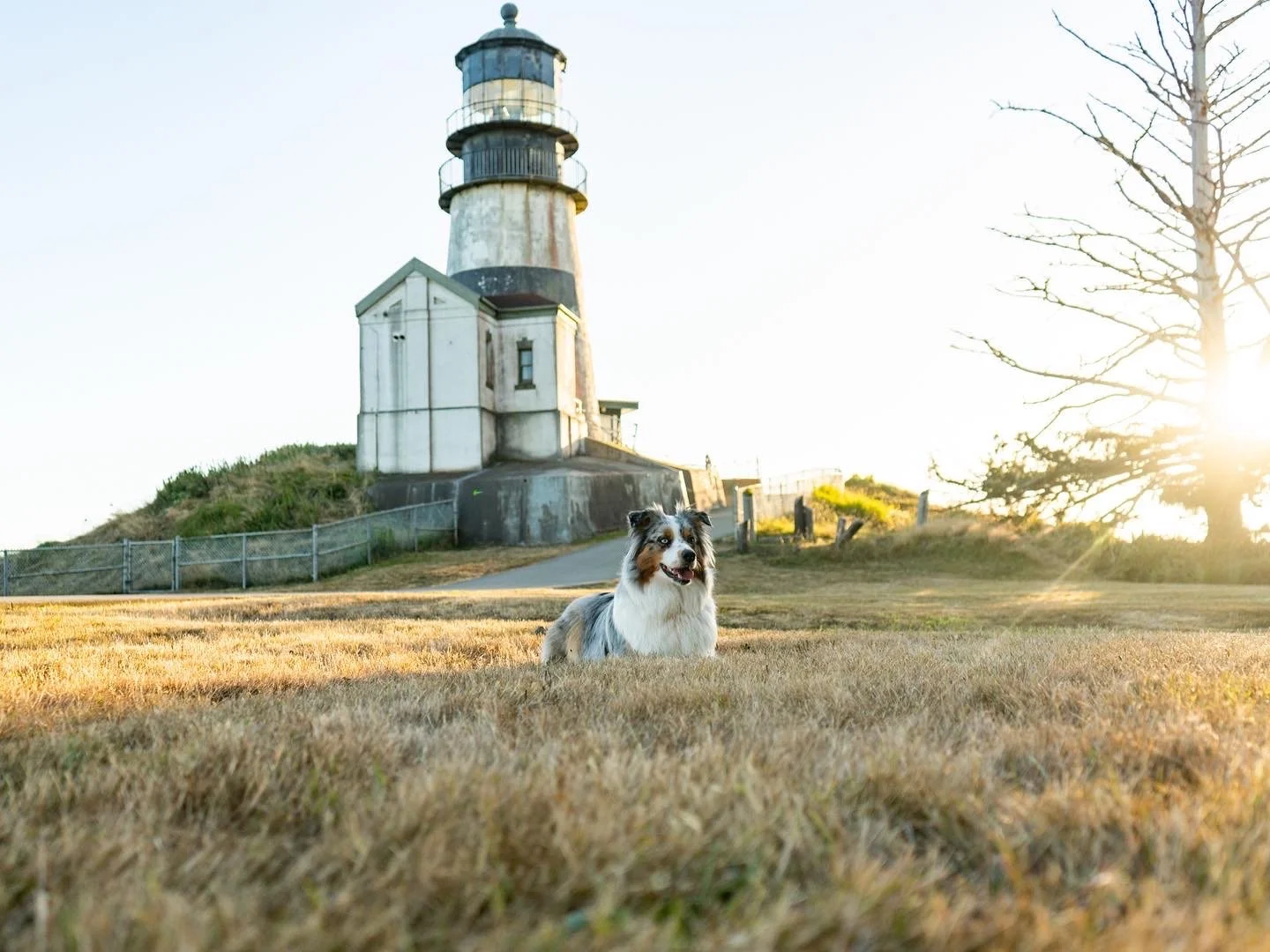 Road Trip | Oregon and Washington Coast
