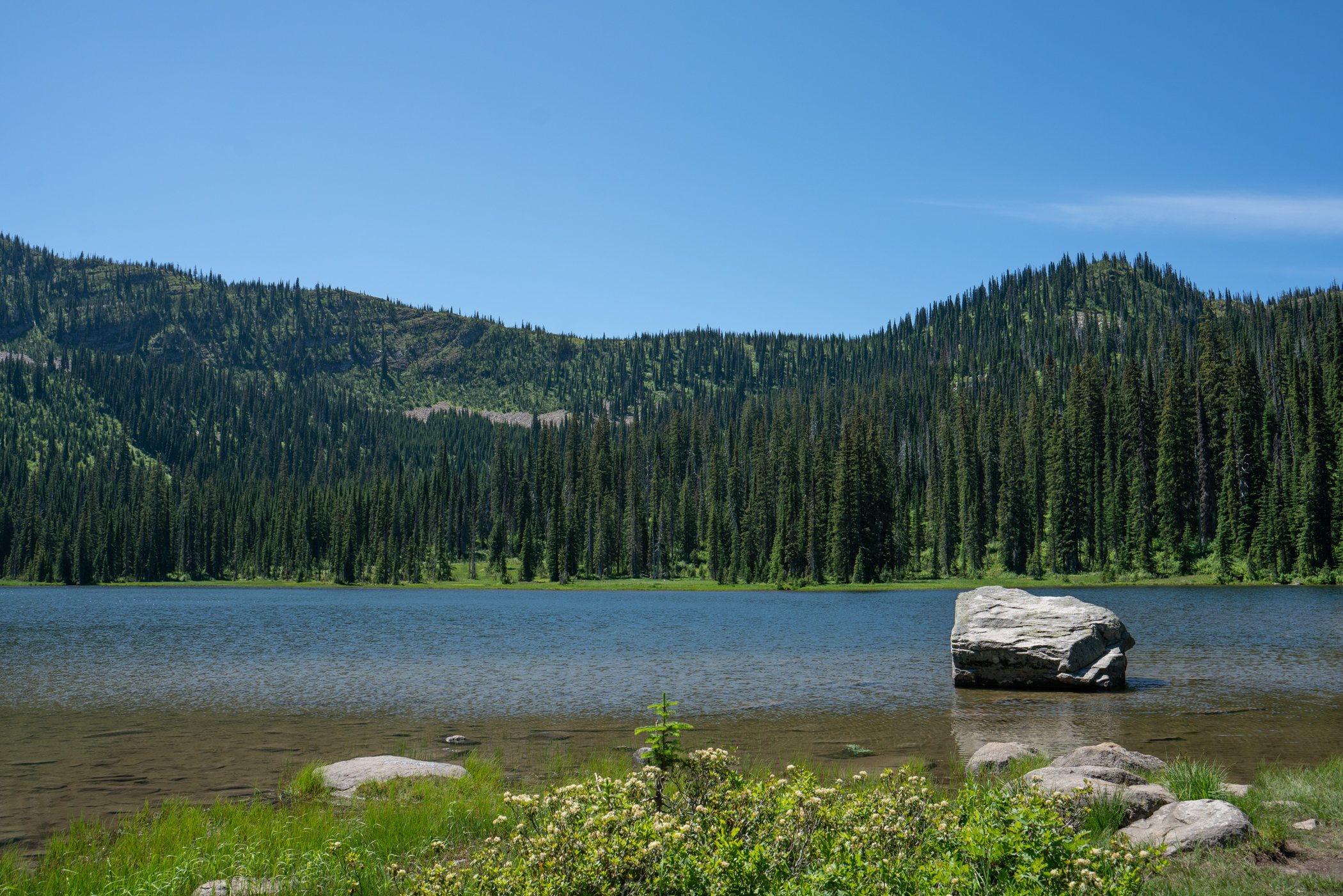 Moose Lake-1.jpg