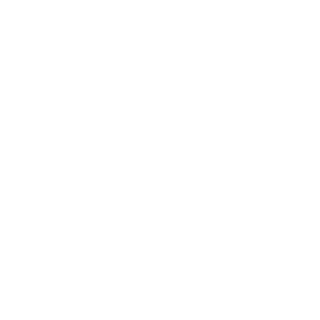 LiNing_Logo.png
