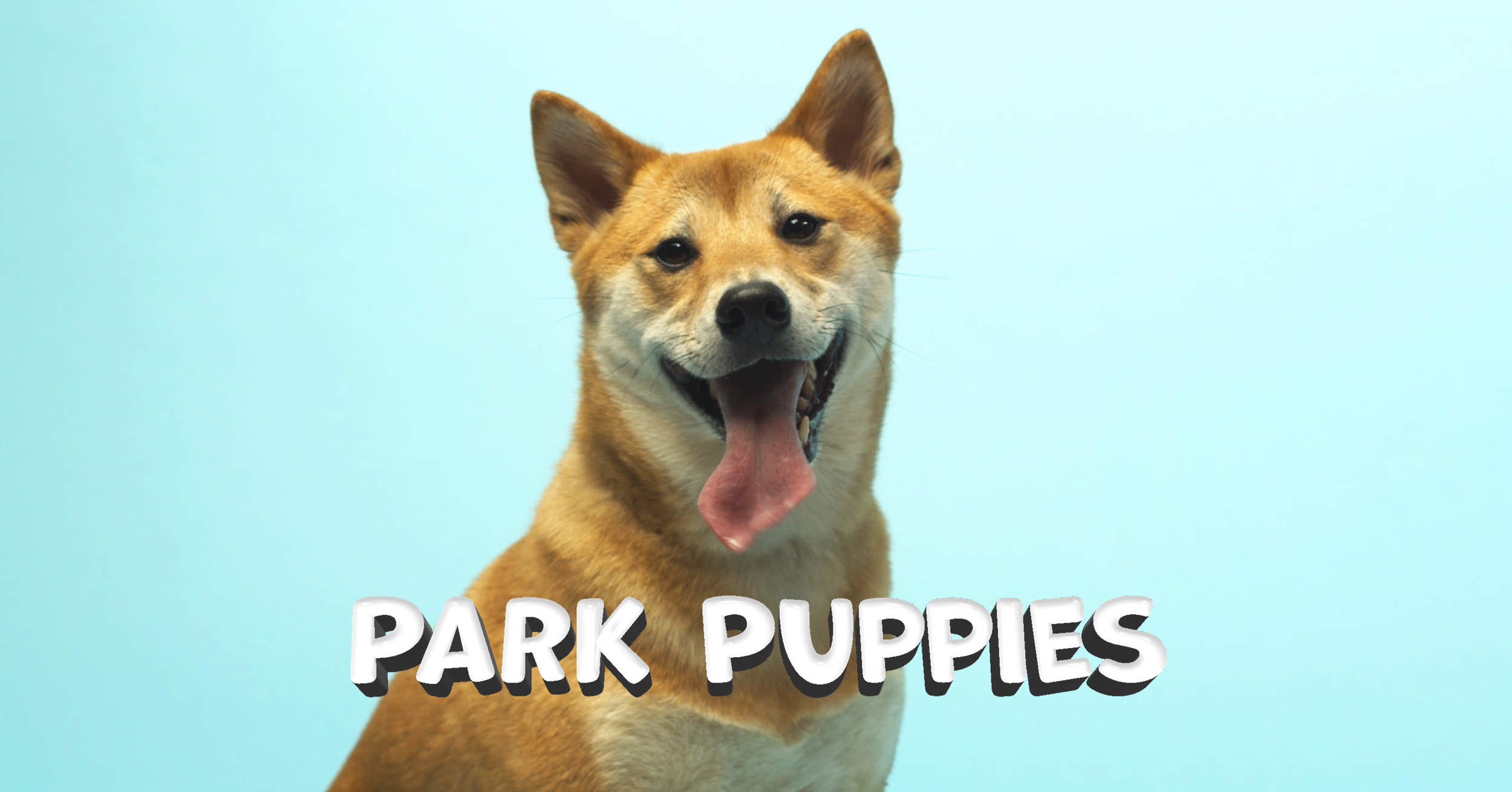 Park Puppies|https://vimeo.com/500645022/71882a2d86