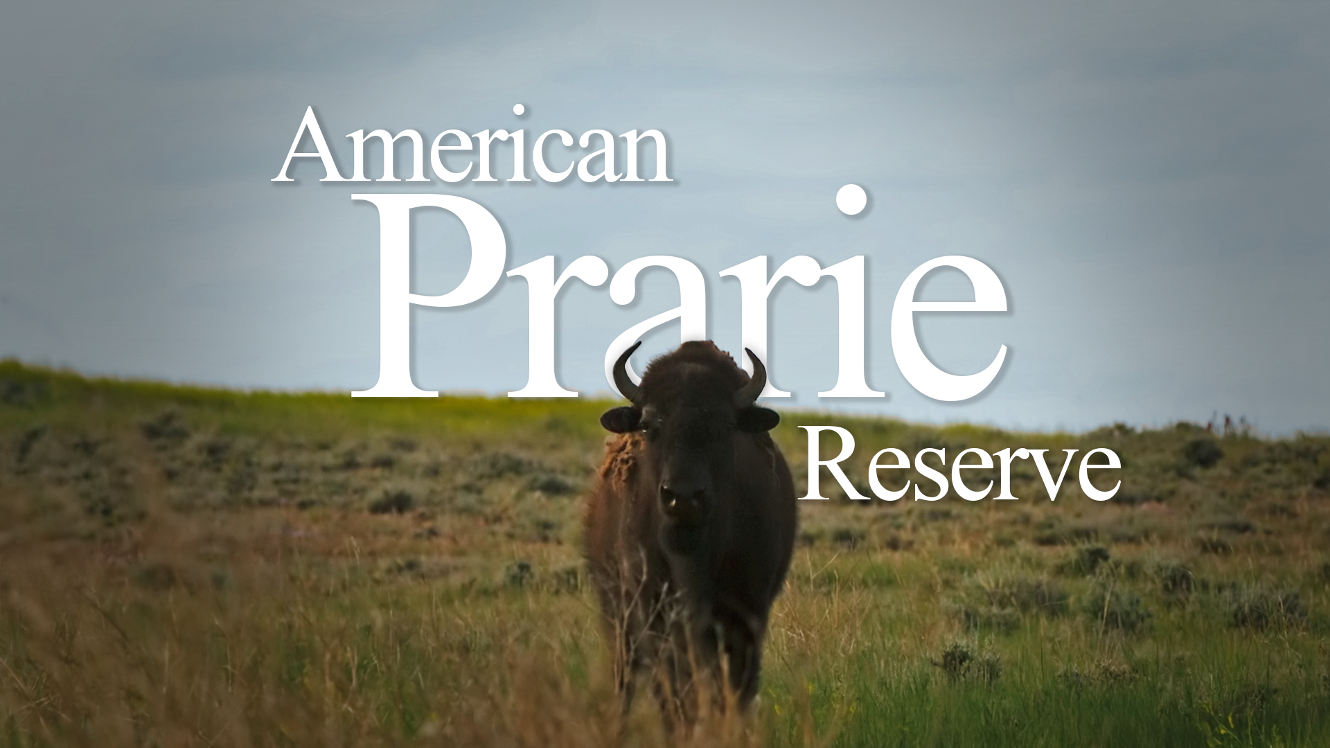 American Prarie Reserve Trailer|https://vimeo.com/391784233/3306e89468