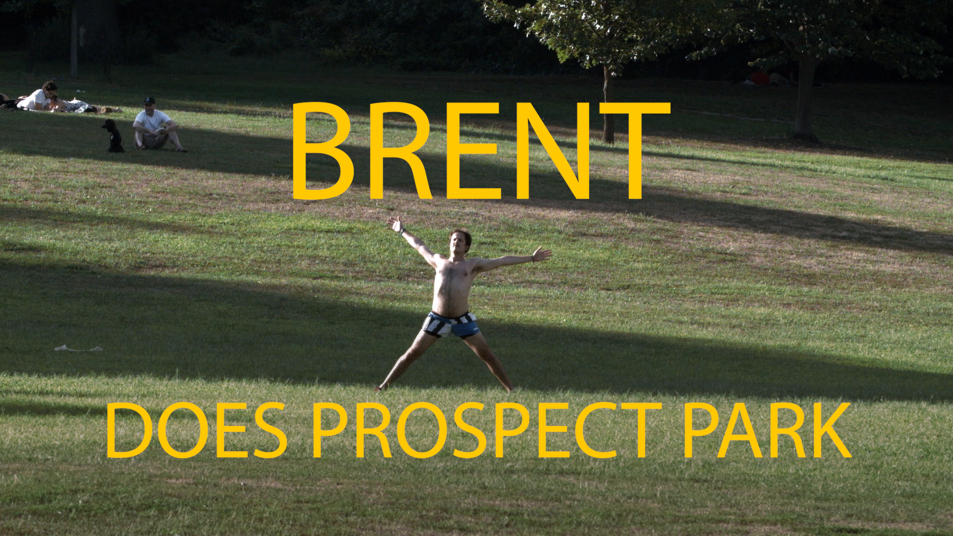 Brent Does Prospect Park|https://vimeo.com/391438348/76dce746e9