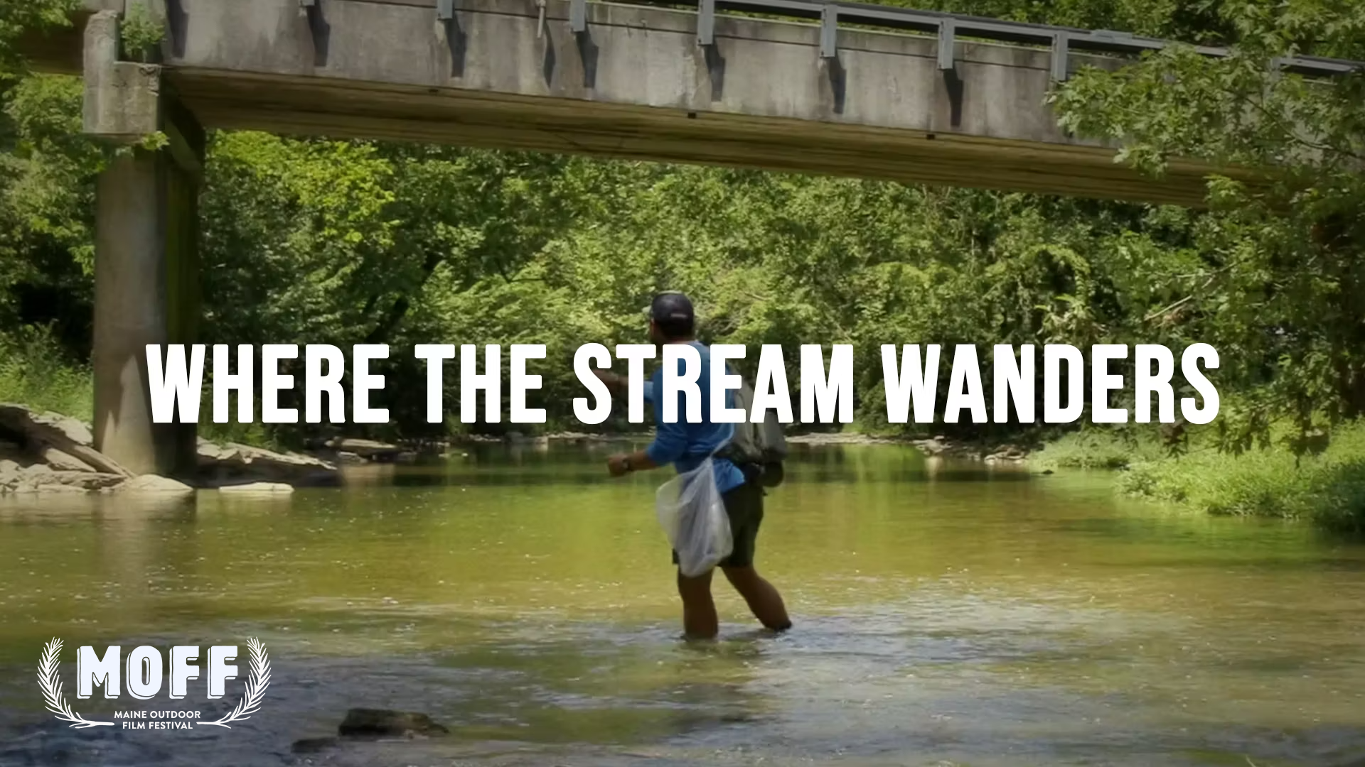 Where The Stream Wanders|https://vimeo.com/846605509/4a6e760396?share=copy