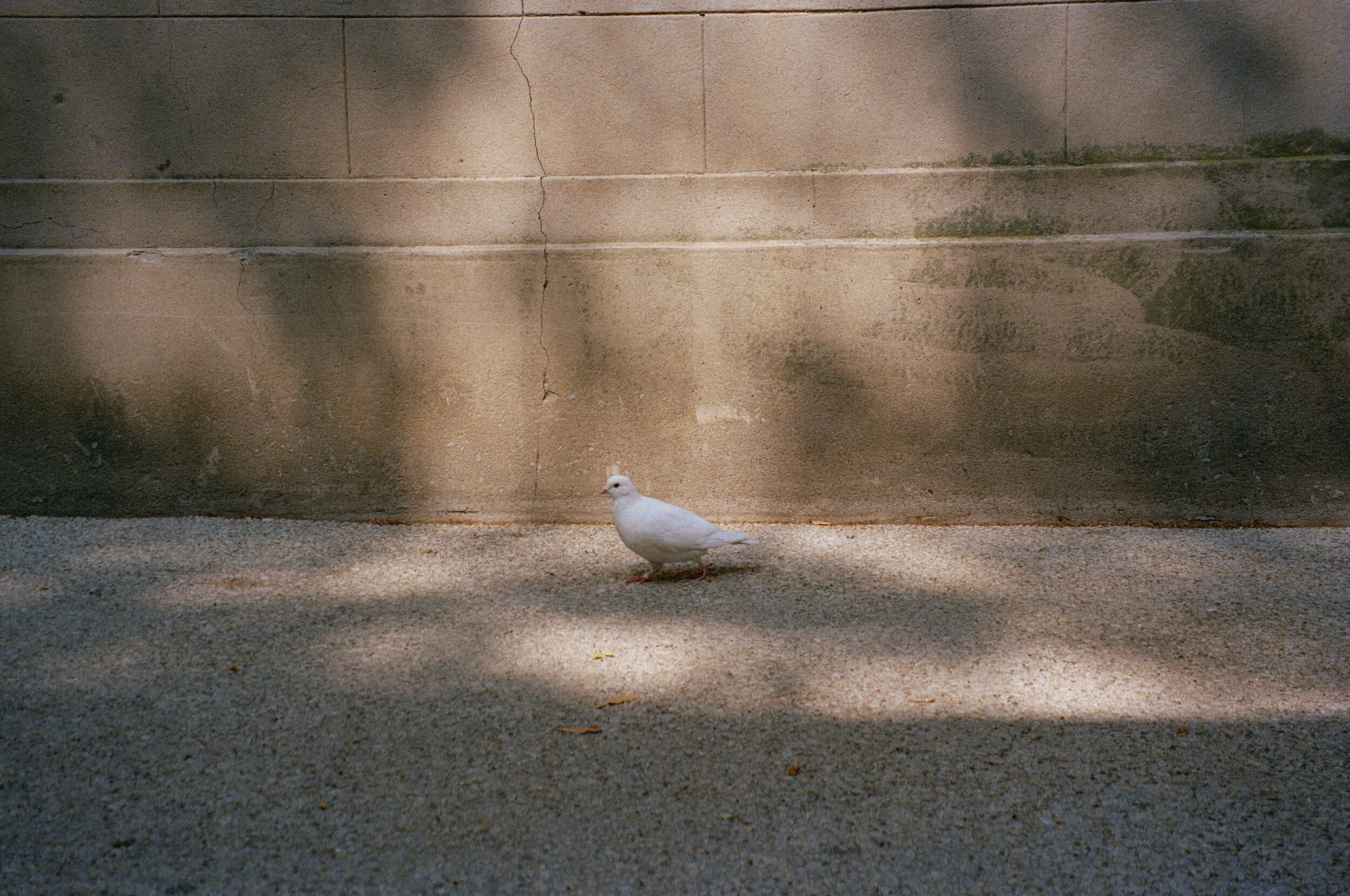  Avignon, France  