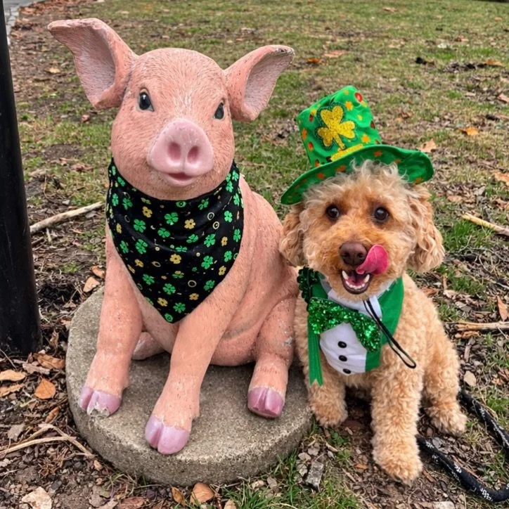 Oakley and his friend Peppa 🐷