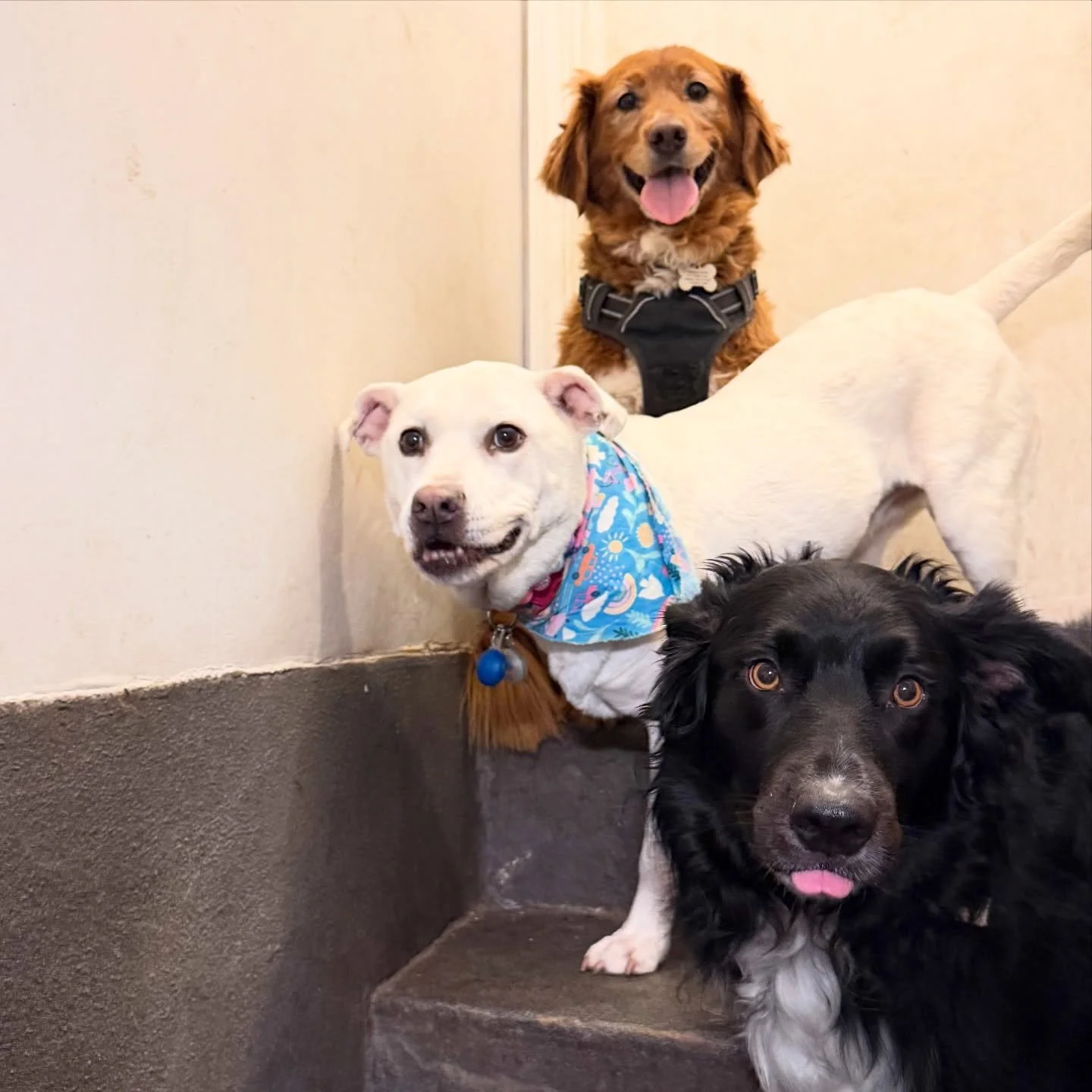 I love my friends!!! How adorable are they 🥹