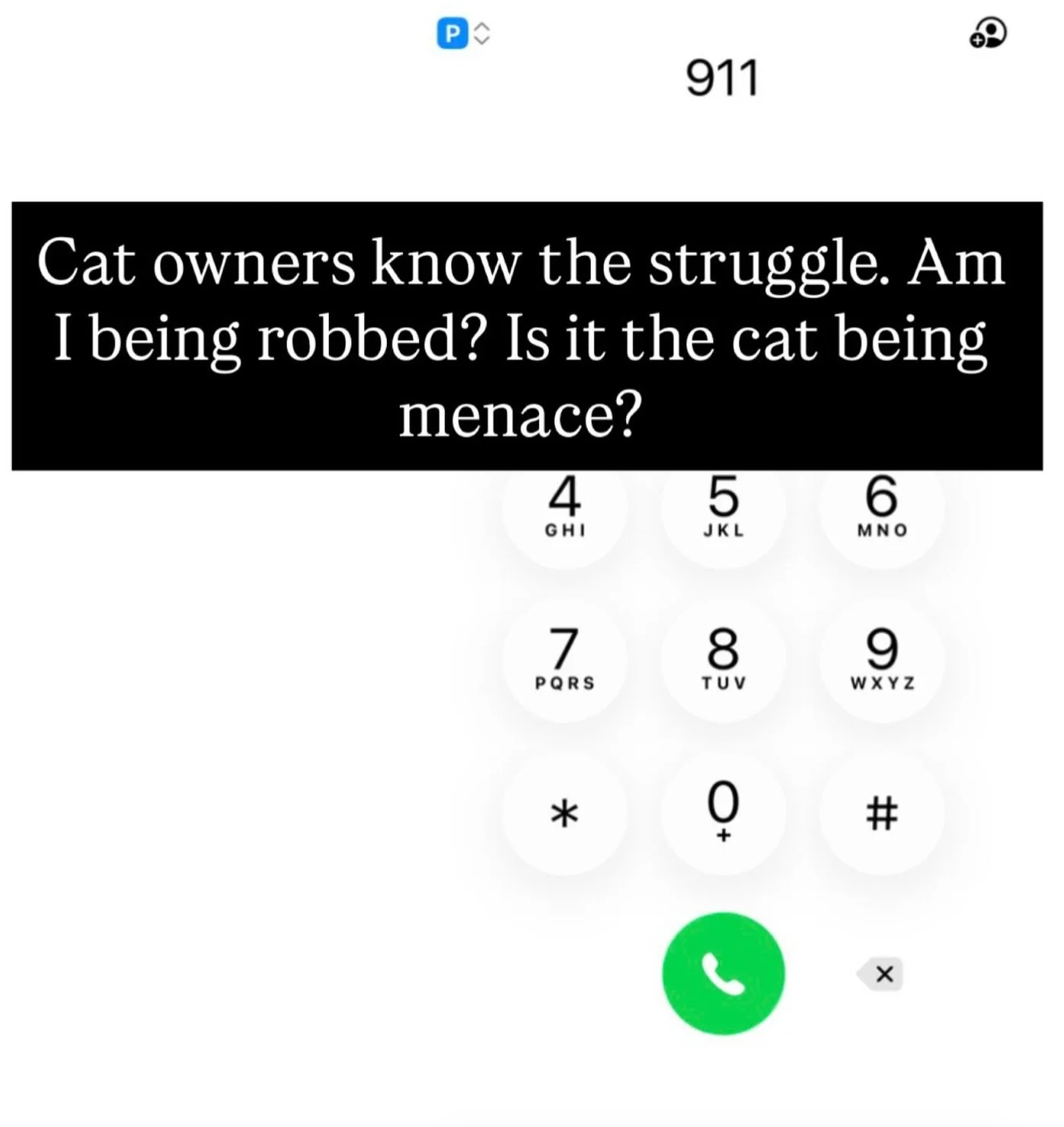 Somebody call 9️⃣1️⃣1️⃣ - I was READY &hellip;. Thankfully I wasn&rsquo;t under attack, it was just Luigi who pushed his water off of the counter (for no reason)