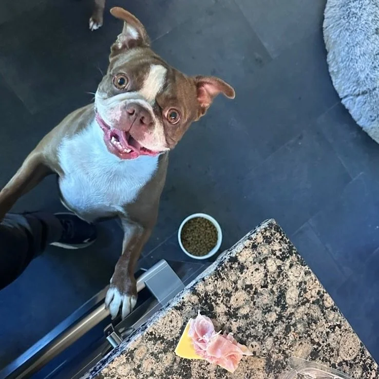 Treat time is the best time.