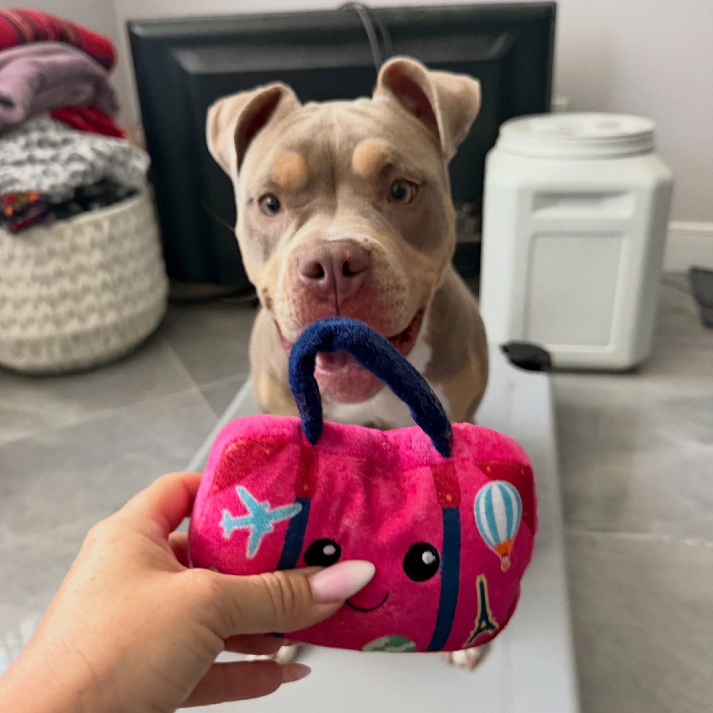 A universal experience - girls love their purse.