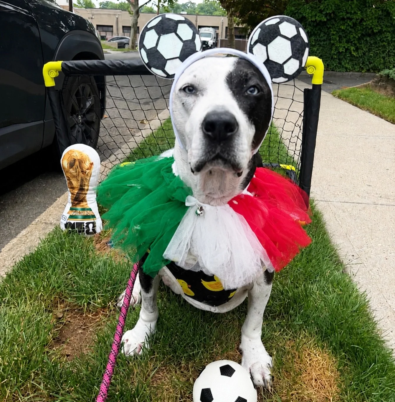 Bella Bear said &iexcl;Viva M&eacute;xico! 🇲🇽⚽️
&bull;
She is locked in and ready for the opening of the World Cup RN