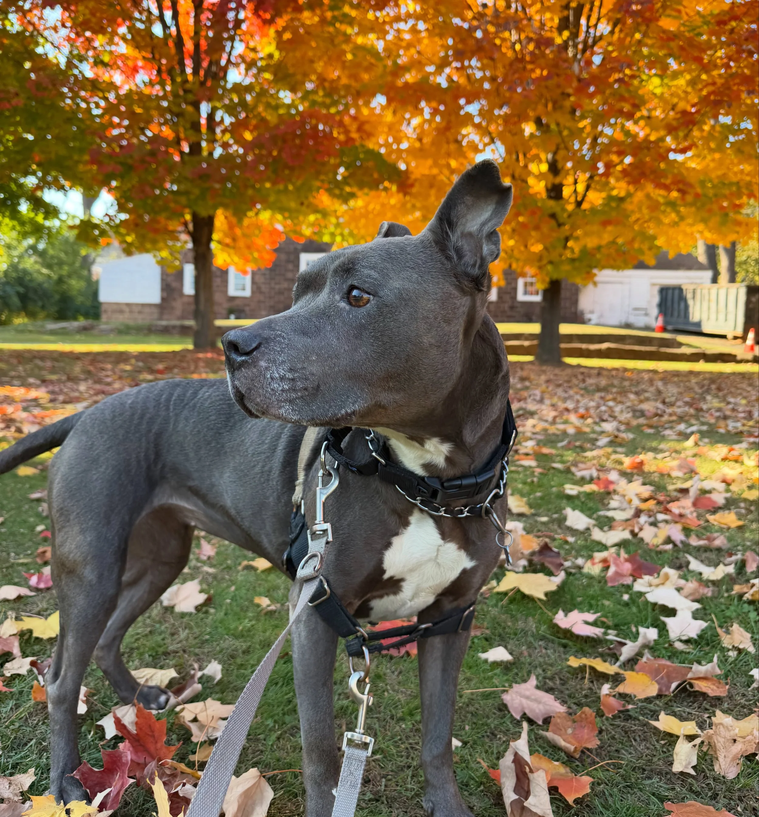 Zoe.