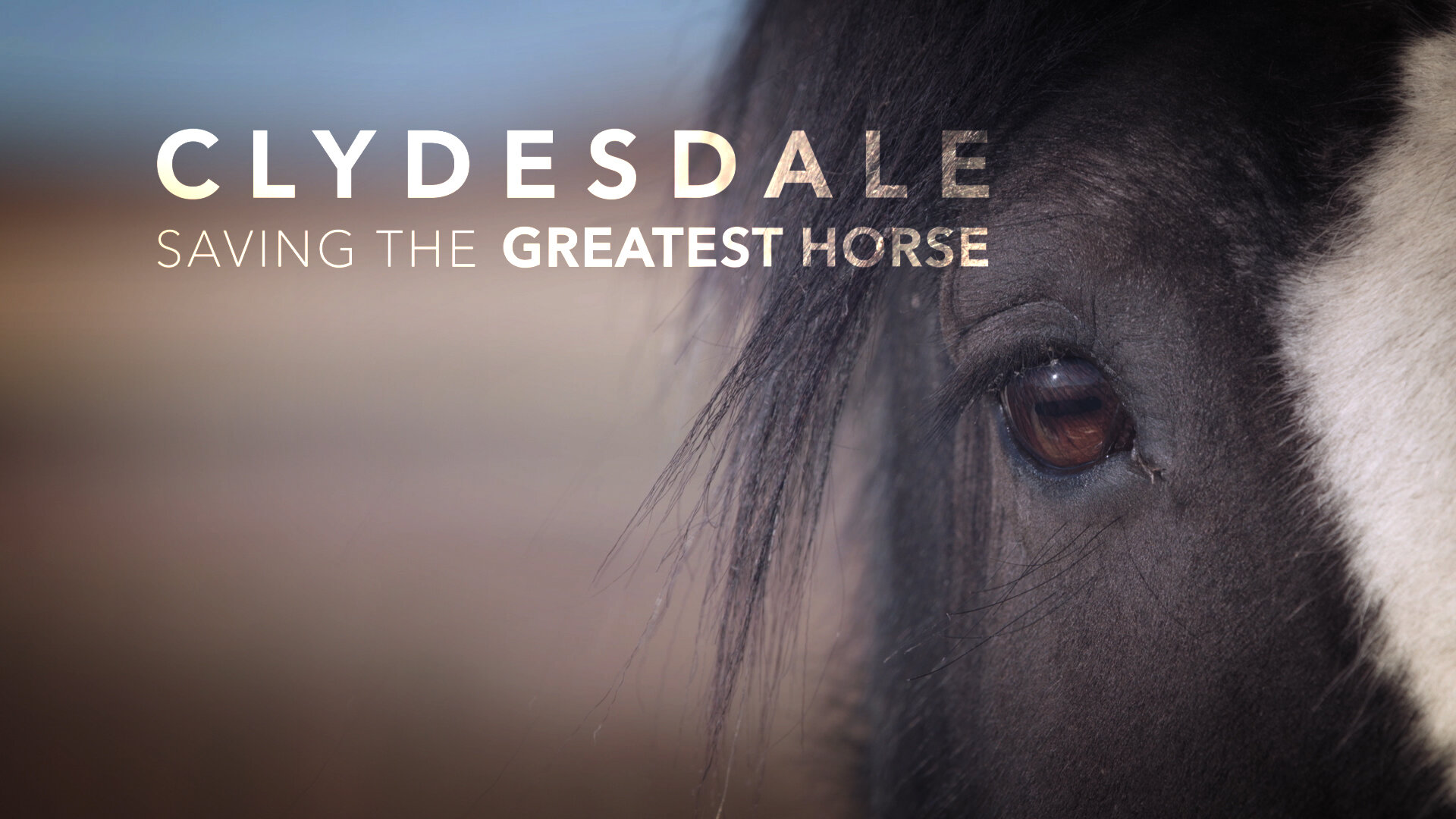 Clydesdale_Promo_02_HD.jpg