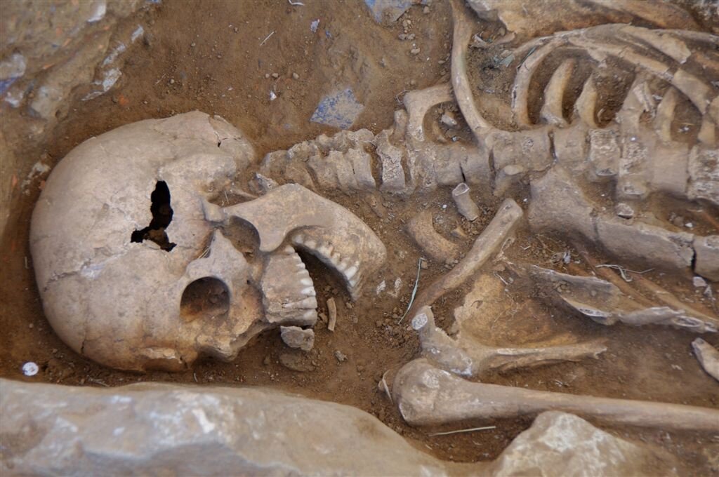 Close Up Remains excavated at Badia Pozzeveri Italy.JPG